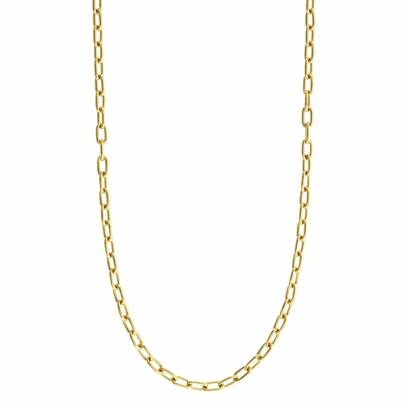 14K Yellow Gold Medium Chain Link Necklace