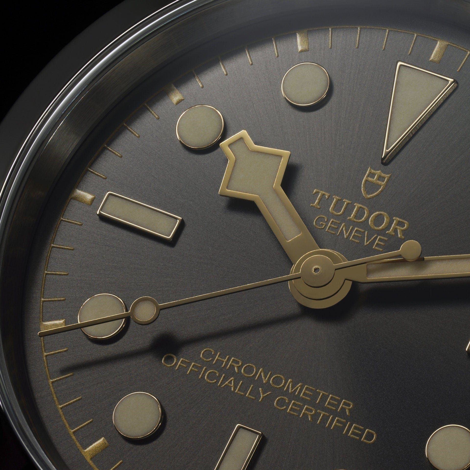 TUDOR Black Bay 31/36/39/41 M79640-0001 - Image 2