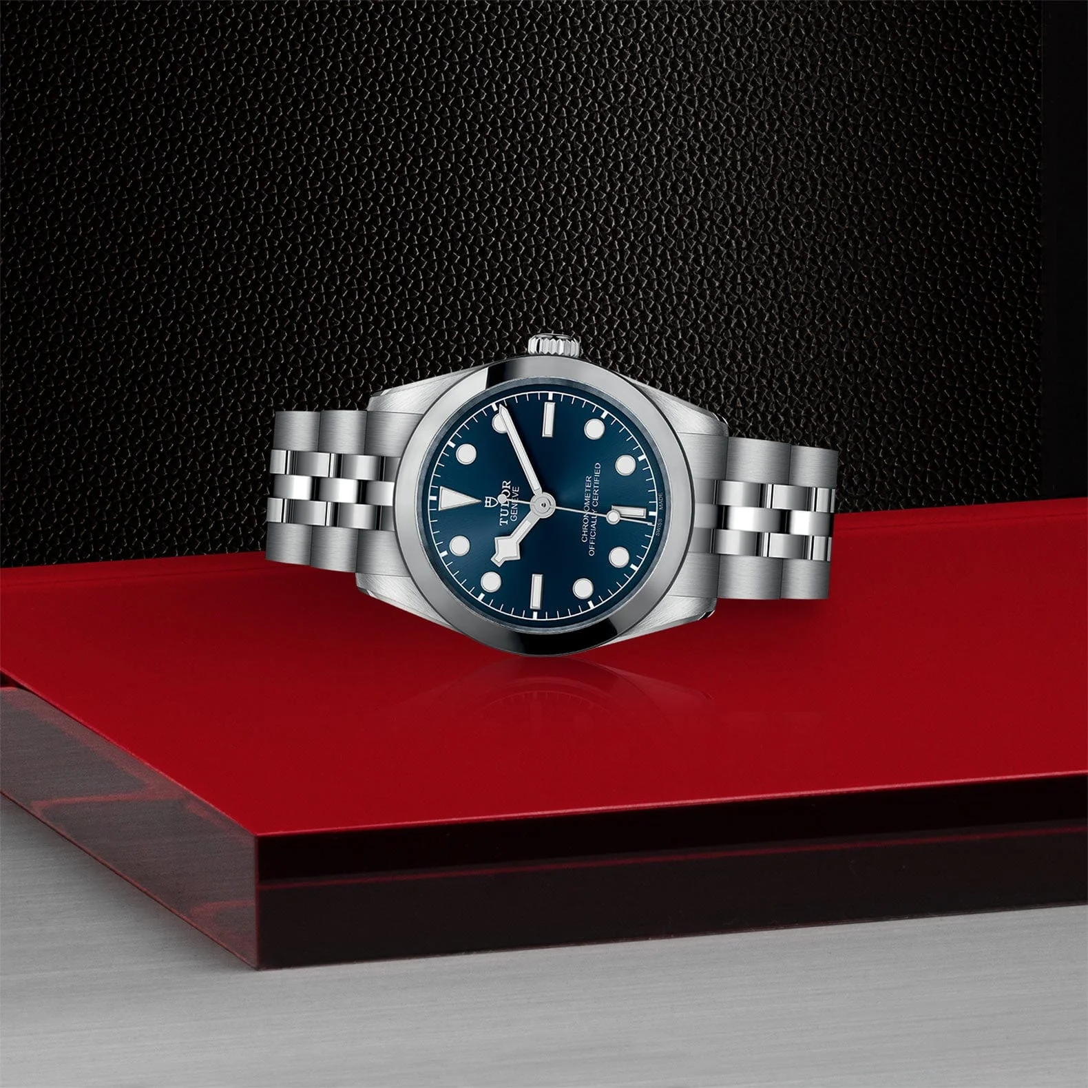 TUDOR Black Bay 31 M79600-0002 - Image 2