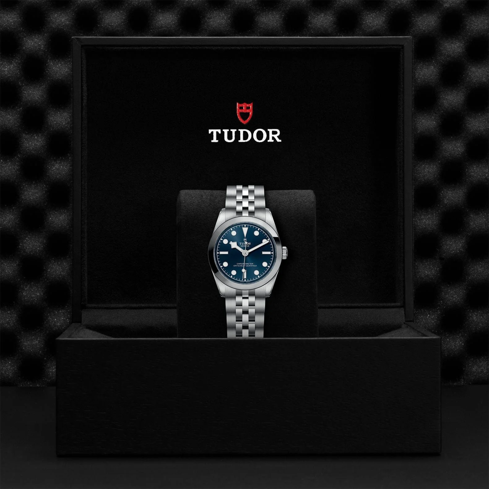 TUDOR Black Bay 31 M79600-0002 - Image 4