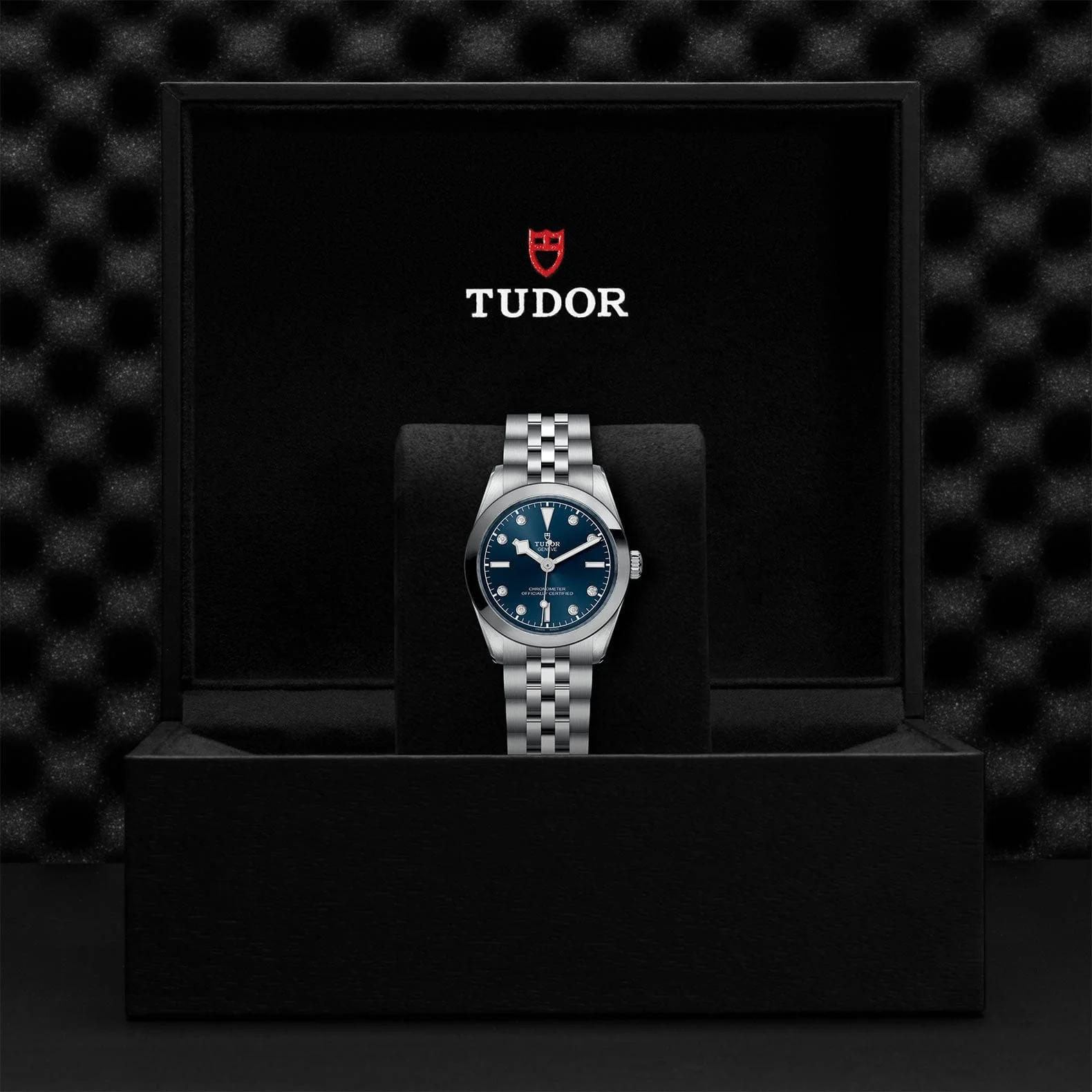 TUDOR Black Bay 31 M79600-0005 - Image 4