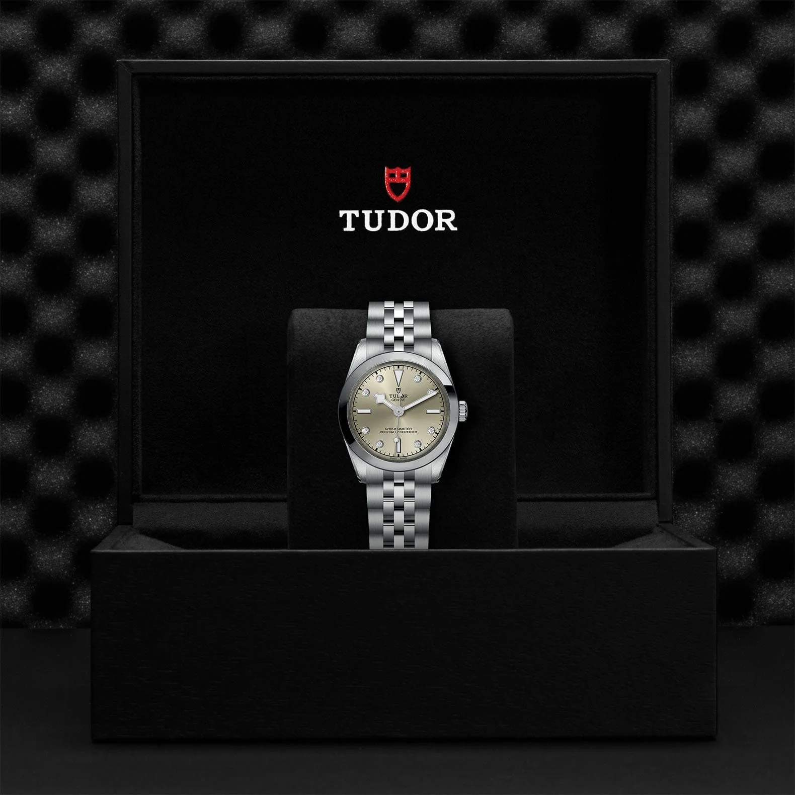 TUDOR Black Bay 31 M79600-0006 - Image 4