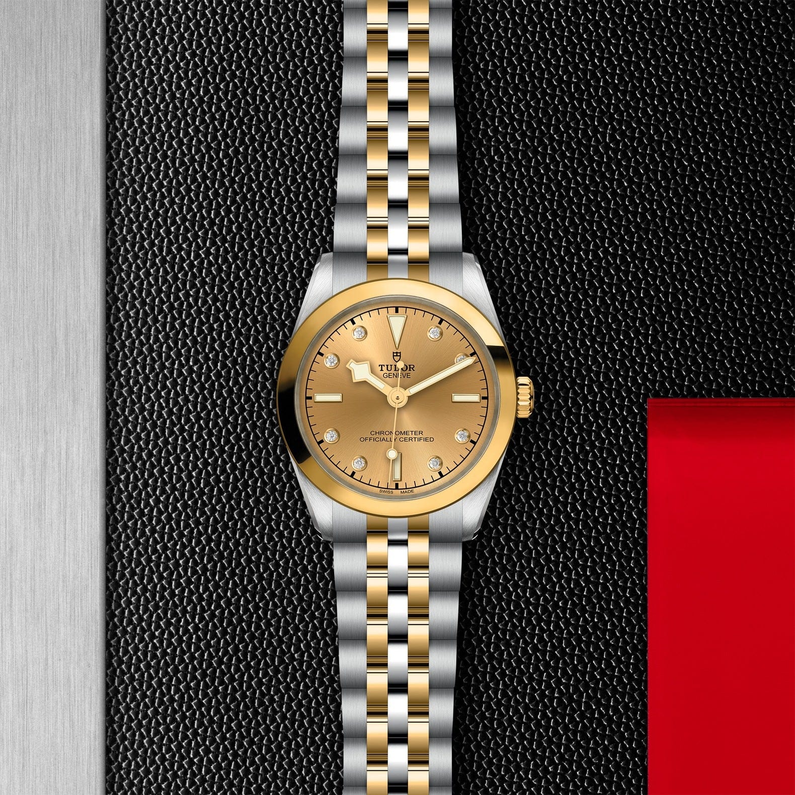 TUDOR Black Bay 31 S&G M79603-0008 - Image 2