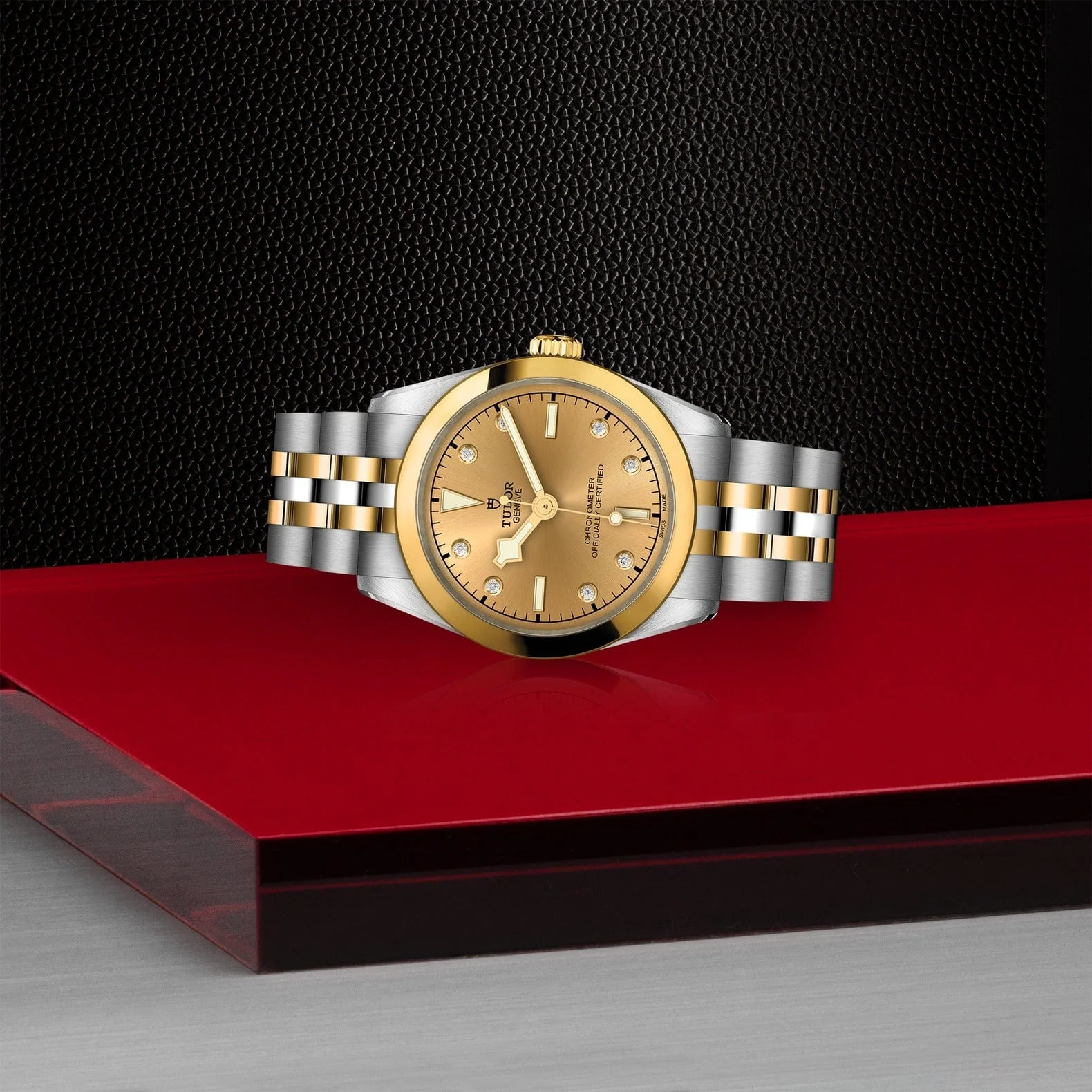 TUDOR Black Bay 31 S&G M79603-0008 - Image 3