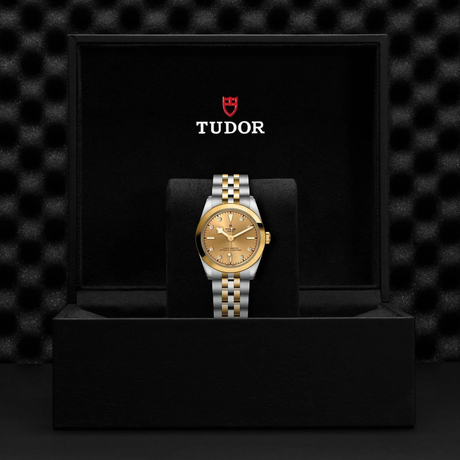 TUDOR Black Bay 31 S&G M79603-0008 - Image 4