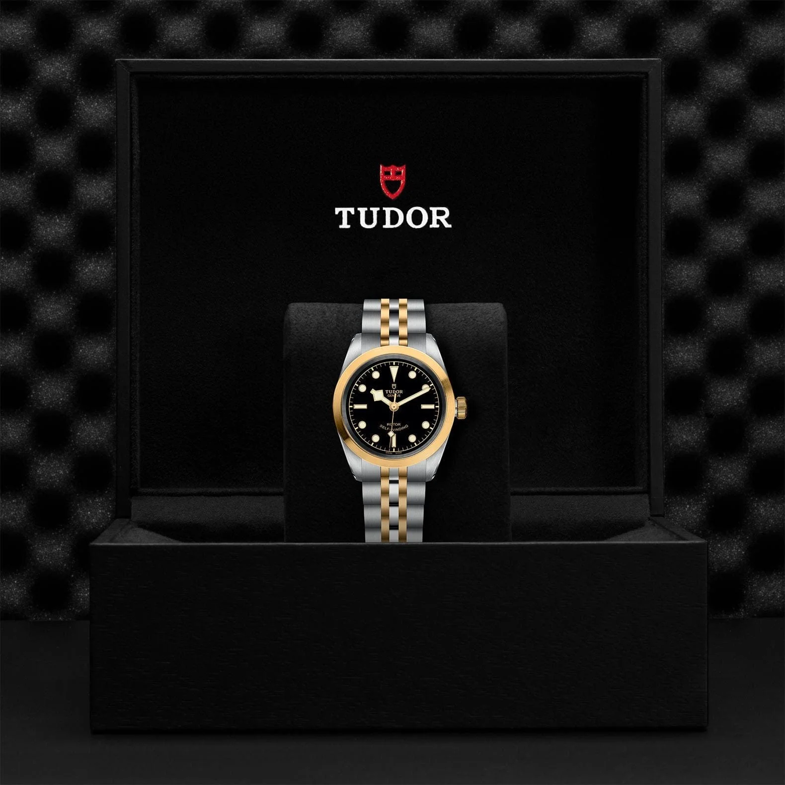 TUDOR Black Bay 32 S&G Steel & Gold M79583-0001 - Image 4