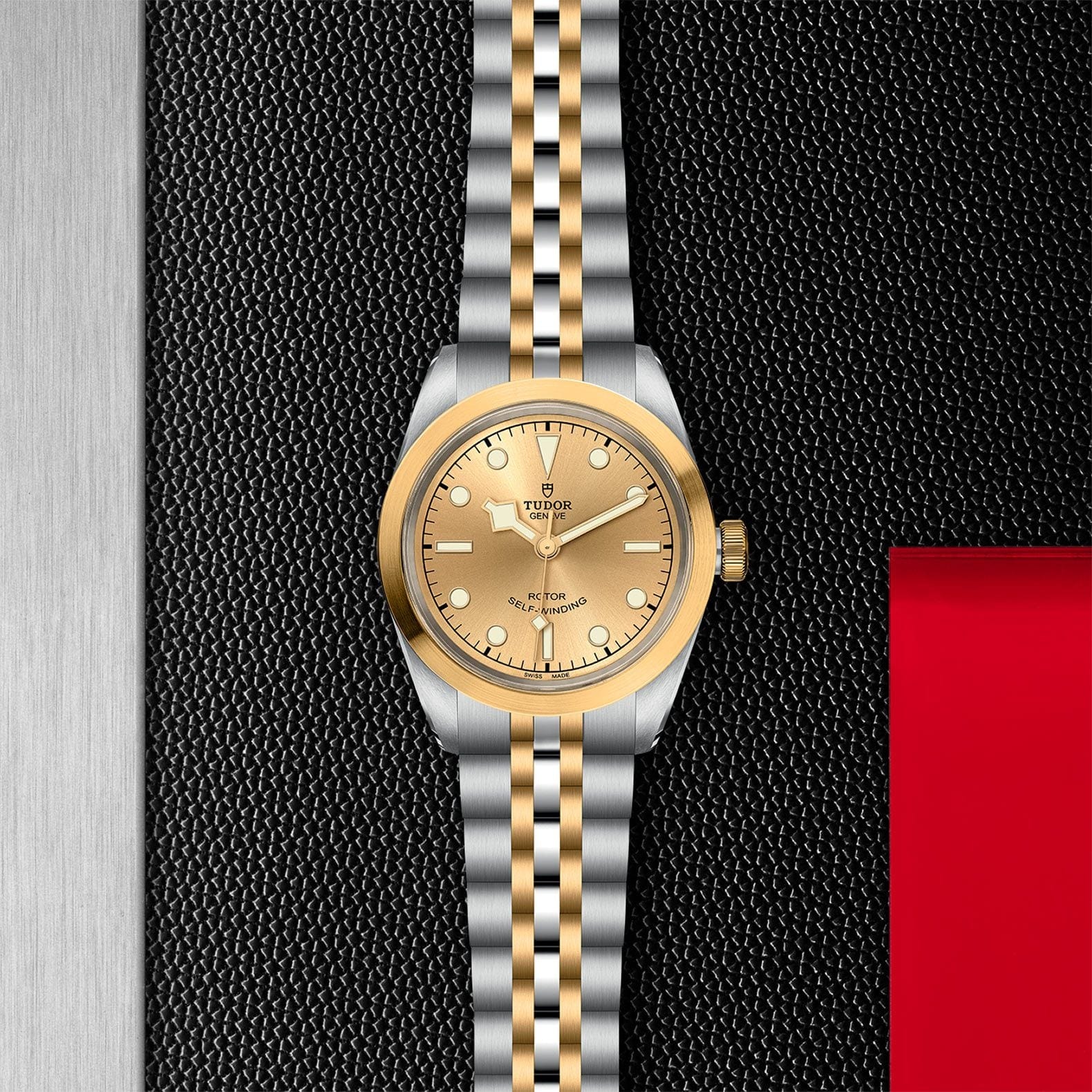 TUDOR Black Bay 32 S&G Steel & Gold M79583-0002 - Image 2