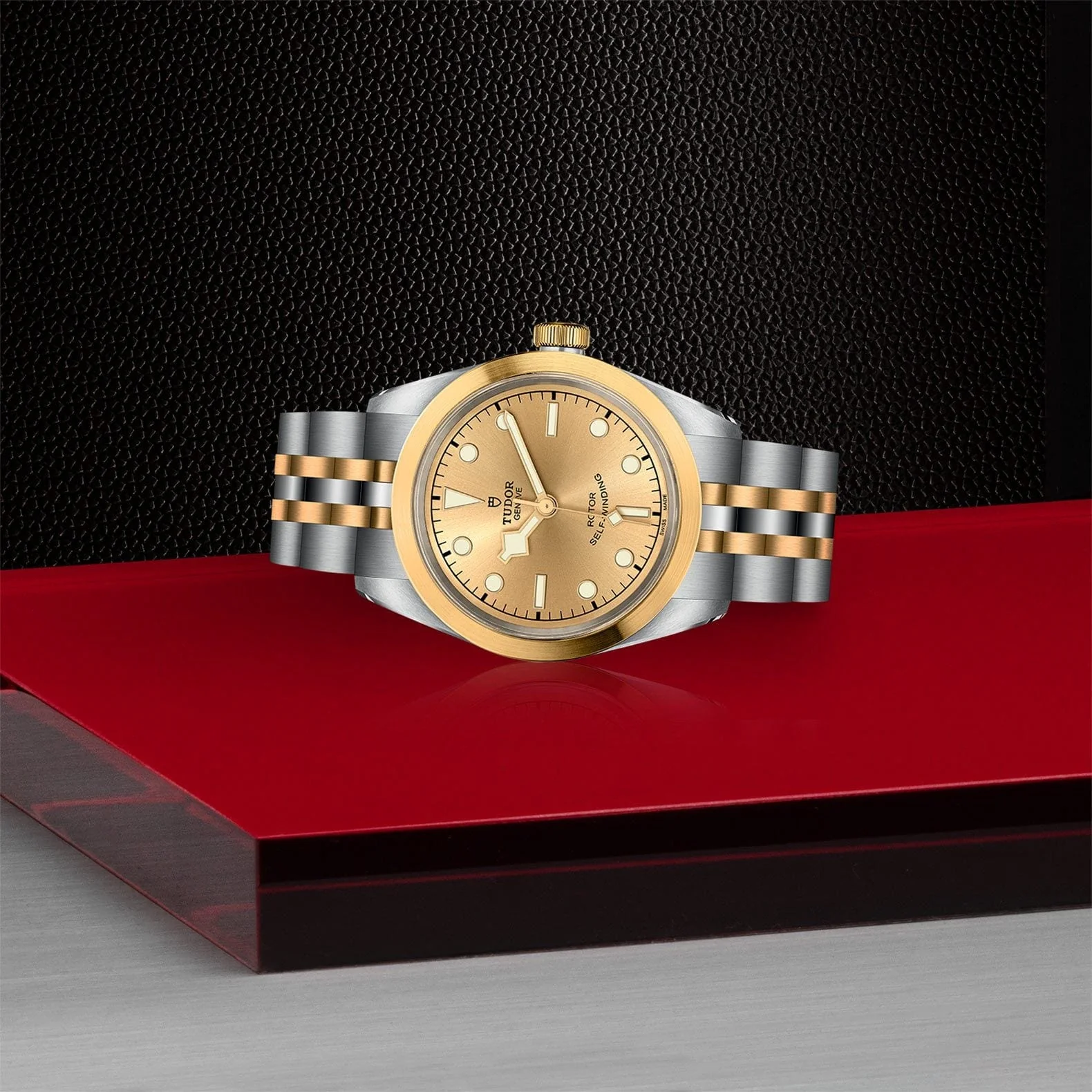 TUDOR Black Bay 32 S&G Steel & Gold M79583-0002 - Image 3