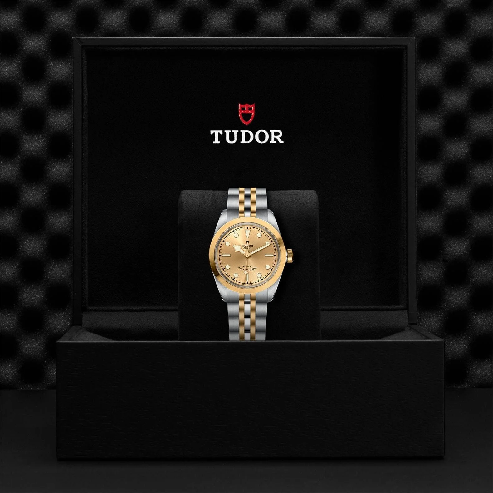 TUDOR Black Bay 32 S&G Steel & Gold M79583-0002 - Image 4