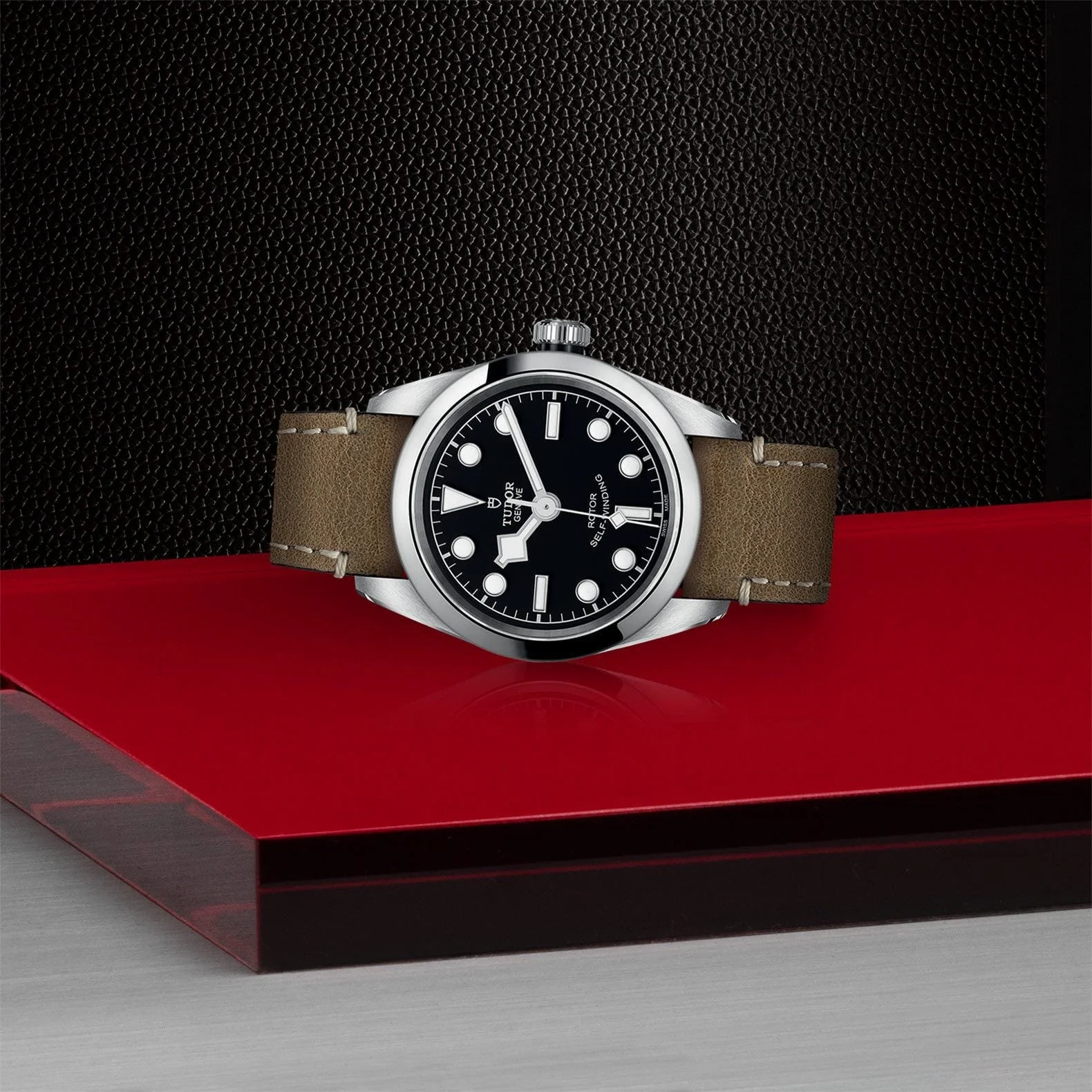 TUDOR Black Bay 32 S&G Steel M79580-0002 - Image 3