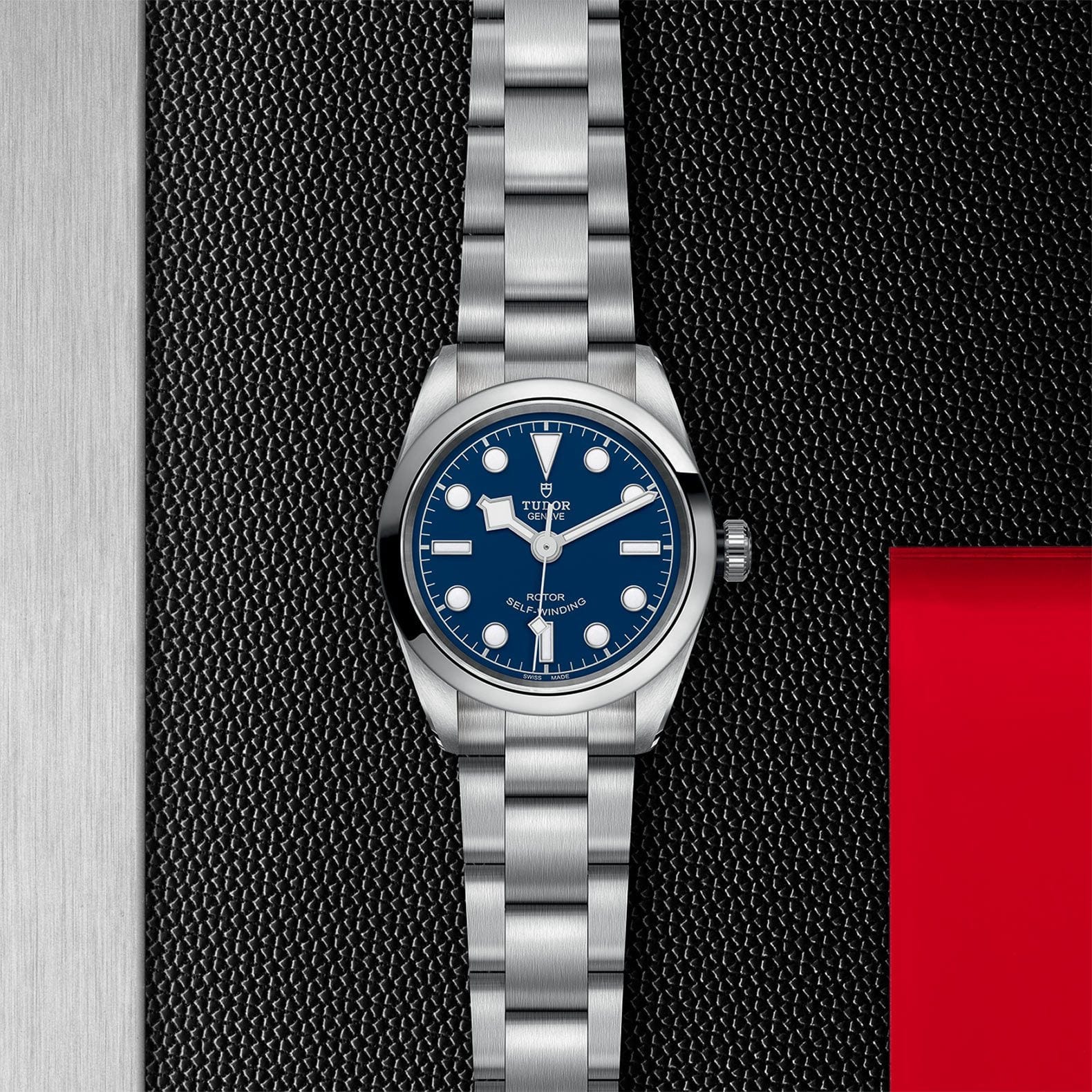 TUDOR Black Bay 32 S&G Steel M79580-0003 - Image 2