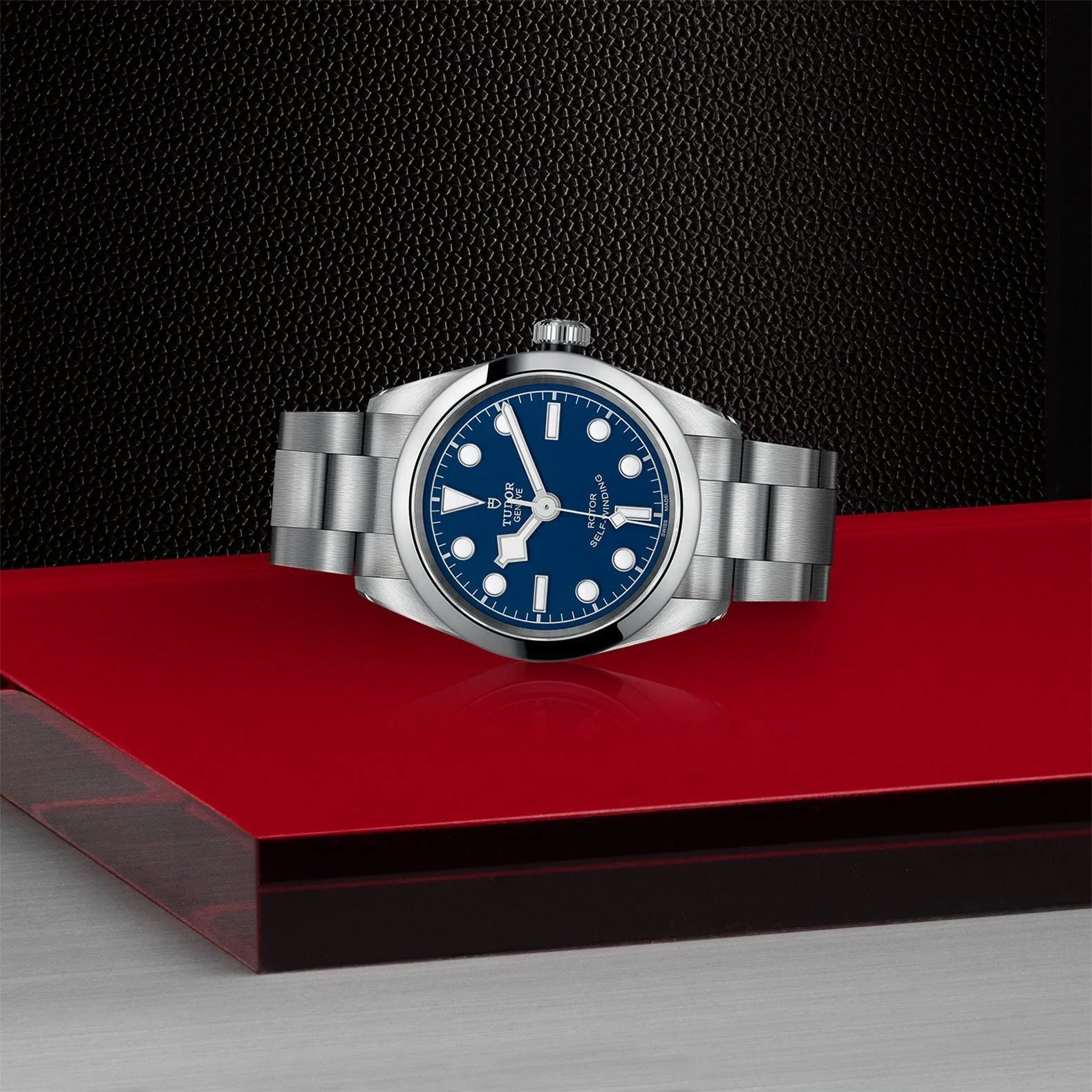 TUDOR Black Bay 32 S&G Steel M79580-0003 - Image 3