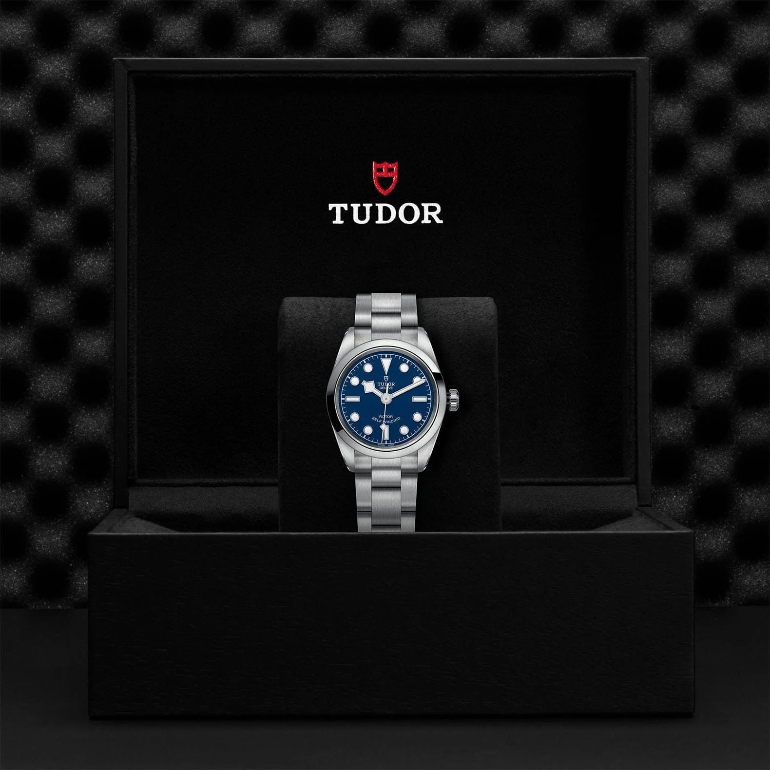 TUDOR Black Bay 32 S&G Steel M79580-0003 - Image 4