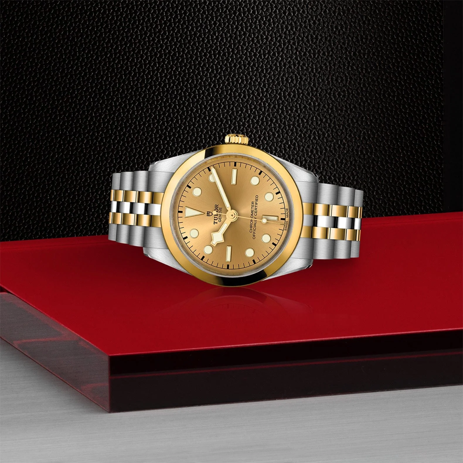 TUDOR Black Bay 36 S&G M79643-0005 - Image 2