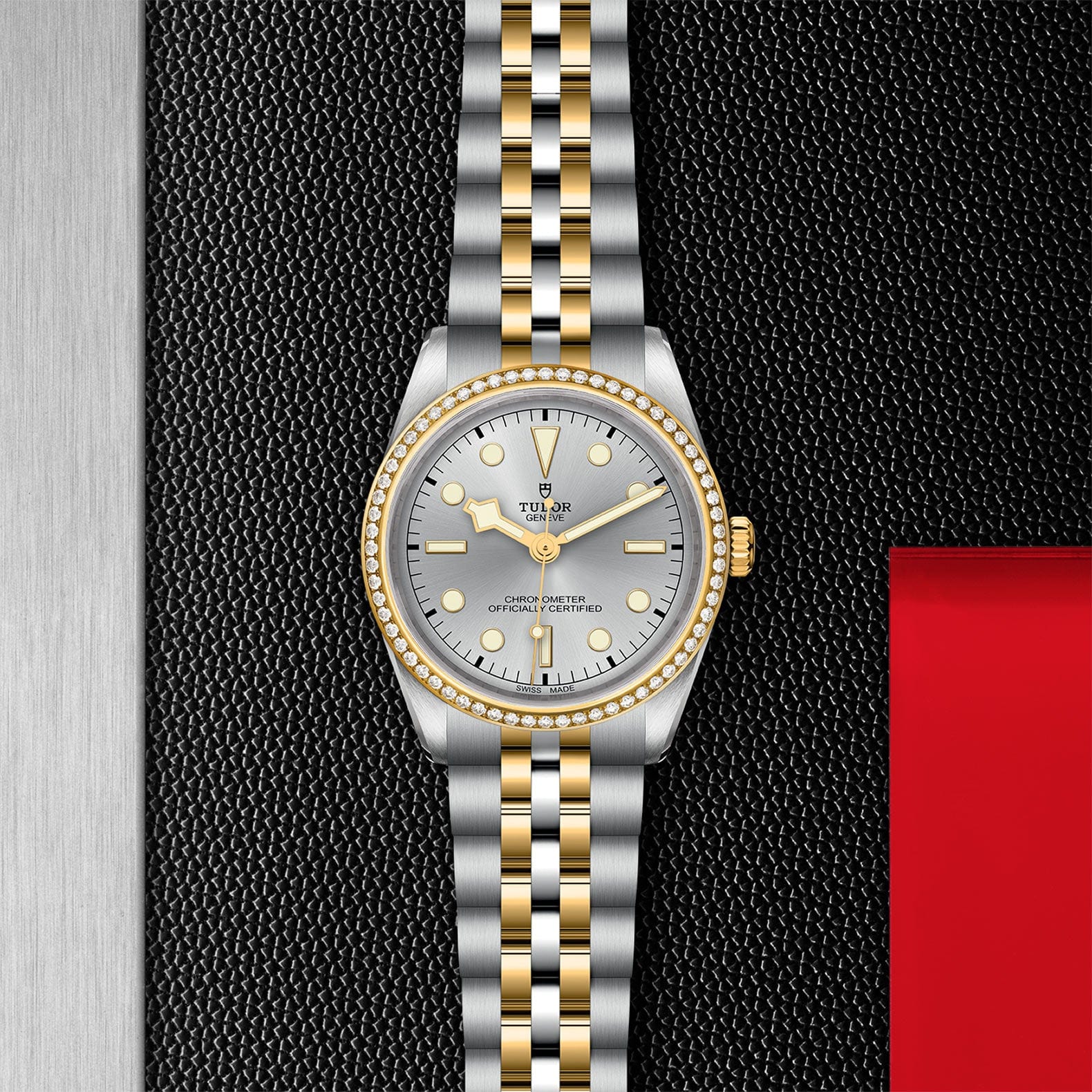 TUDOR Black Bay 36 S&G M79653-0006 - Image 2