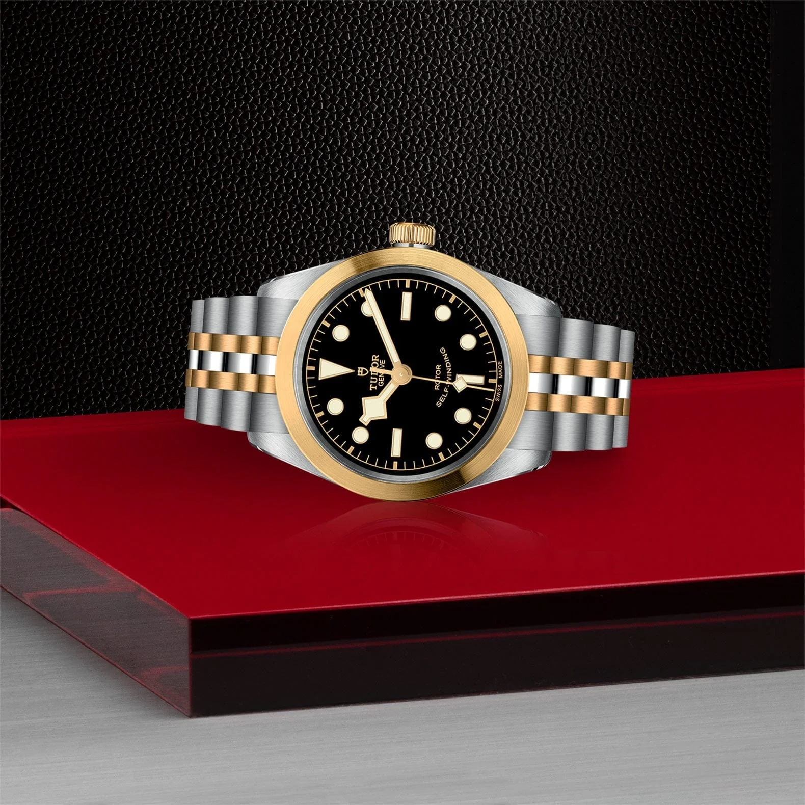TUDOR Black Bay 36 S&G Steel & Gold M79503-0001 - Image 3