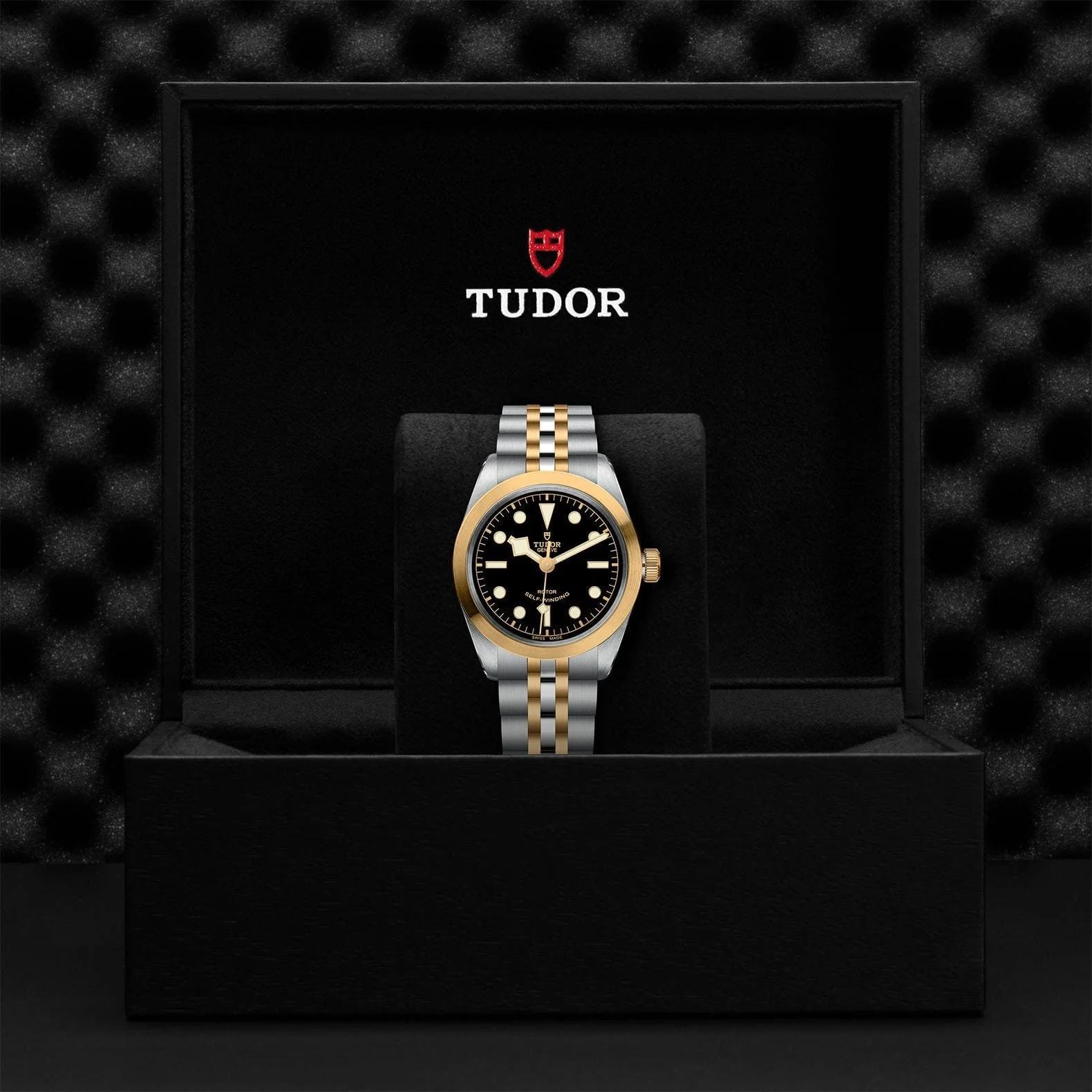 TUDOR Black Bay 36 S&G Steel & Gold M79503-0001 - Image 4