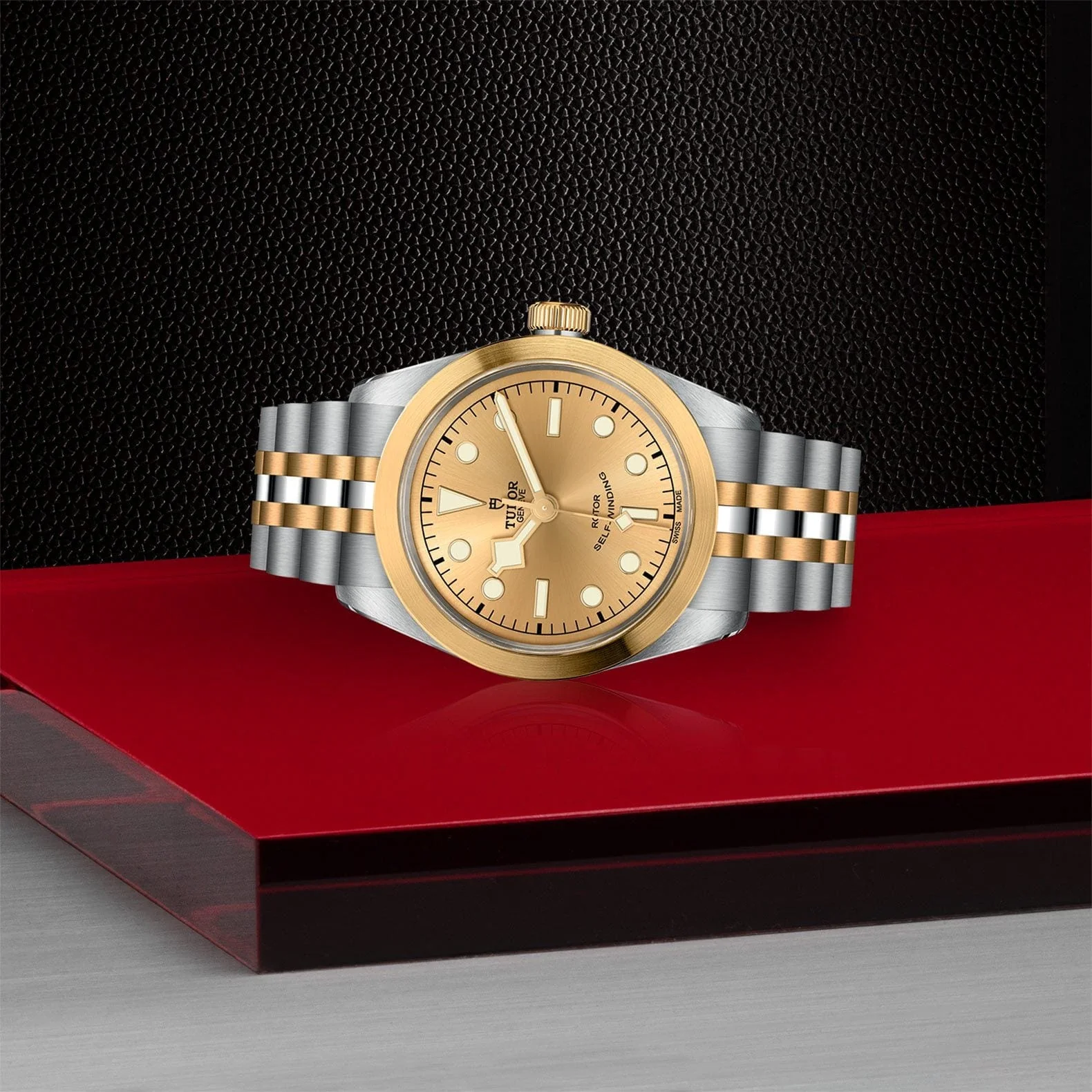 TUDOR Black Bay 36 S&G Steel & Gold M79503-0002 - Image 3