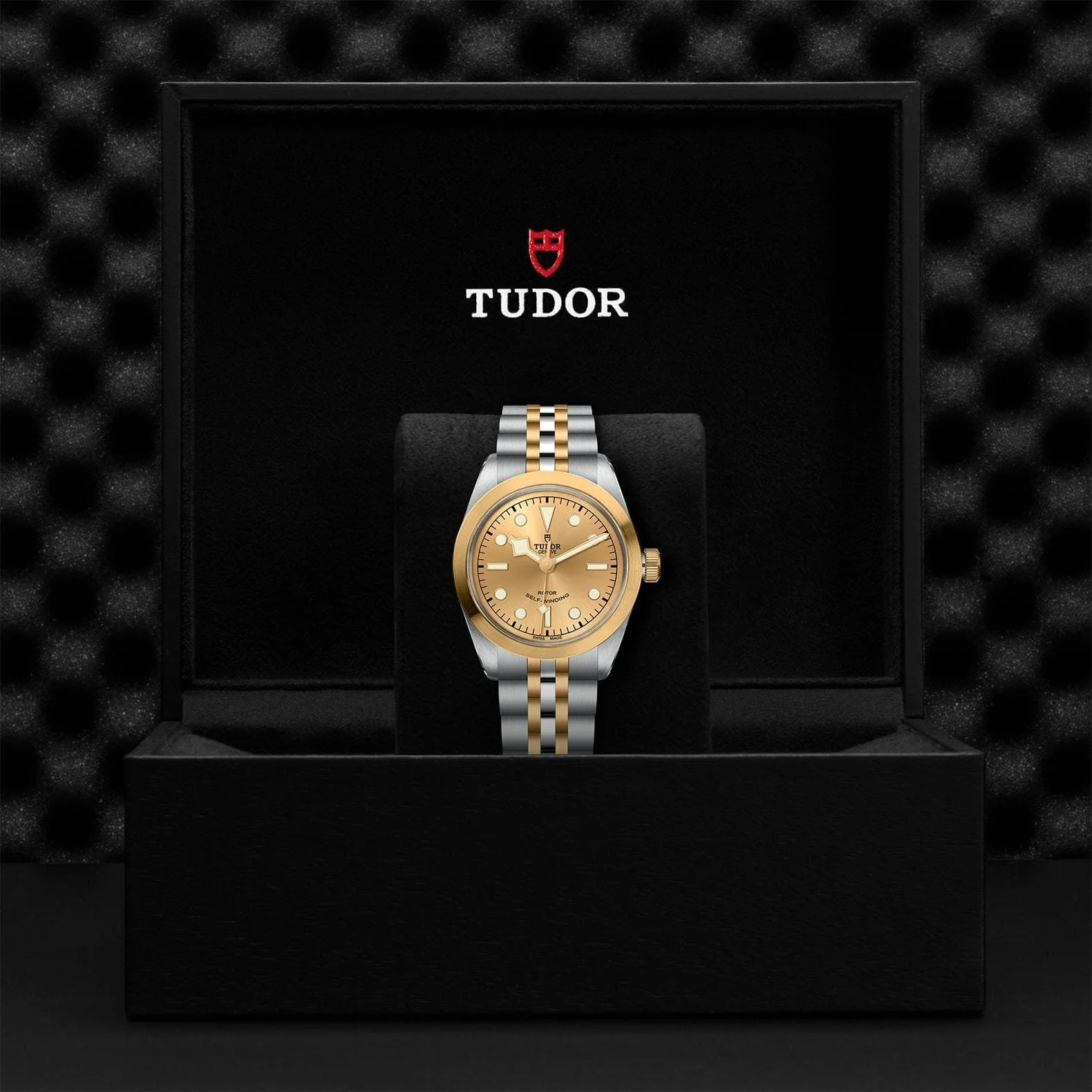 TUDOR Black Bay 36 S&G Steel & Gold M79503-0002 - Image 4