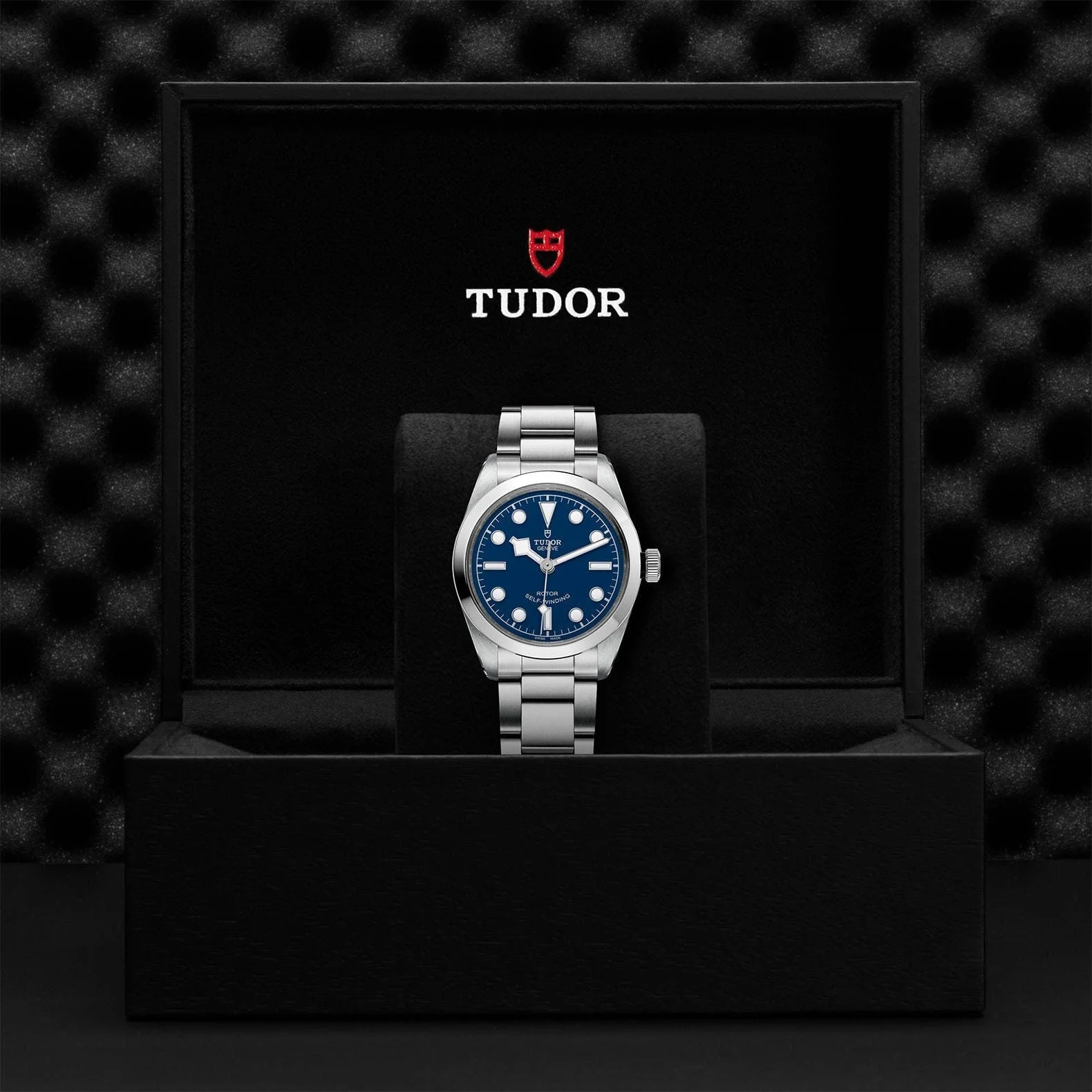 TUDOR Black Bay 36 Steel M79500-0004 - Image 4