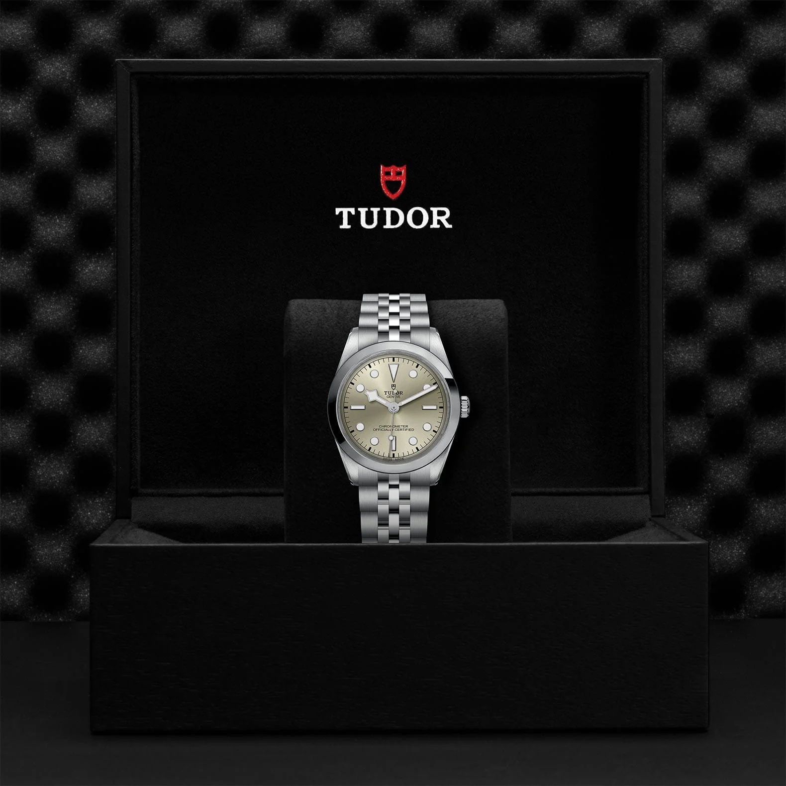 TUDOR Black Bay 36 Steel M79640-0003 - Image 4