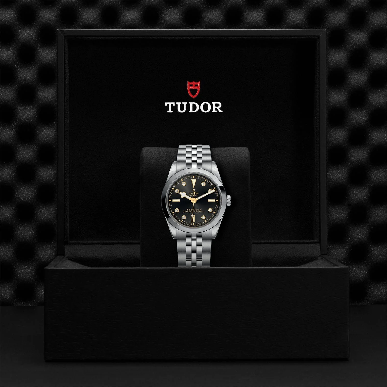 TUDOR Black Bay 36 Steel M79640-0004 - Image 4