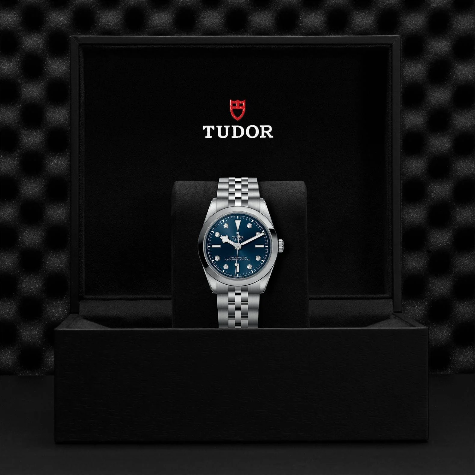 TUDOR Black Bay 36 Steel M79640-0005 - Image 4