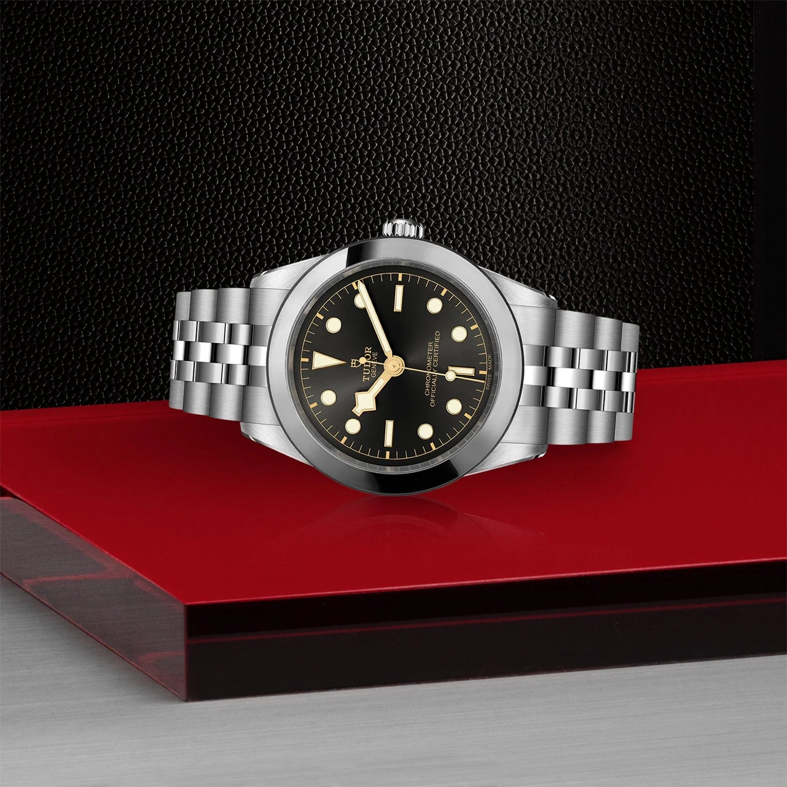 TUDOR Black Bay 39 Steel M79660-0001 - Image 2