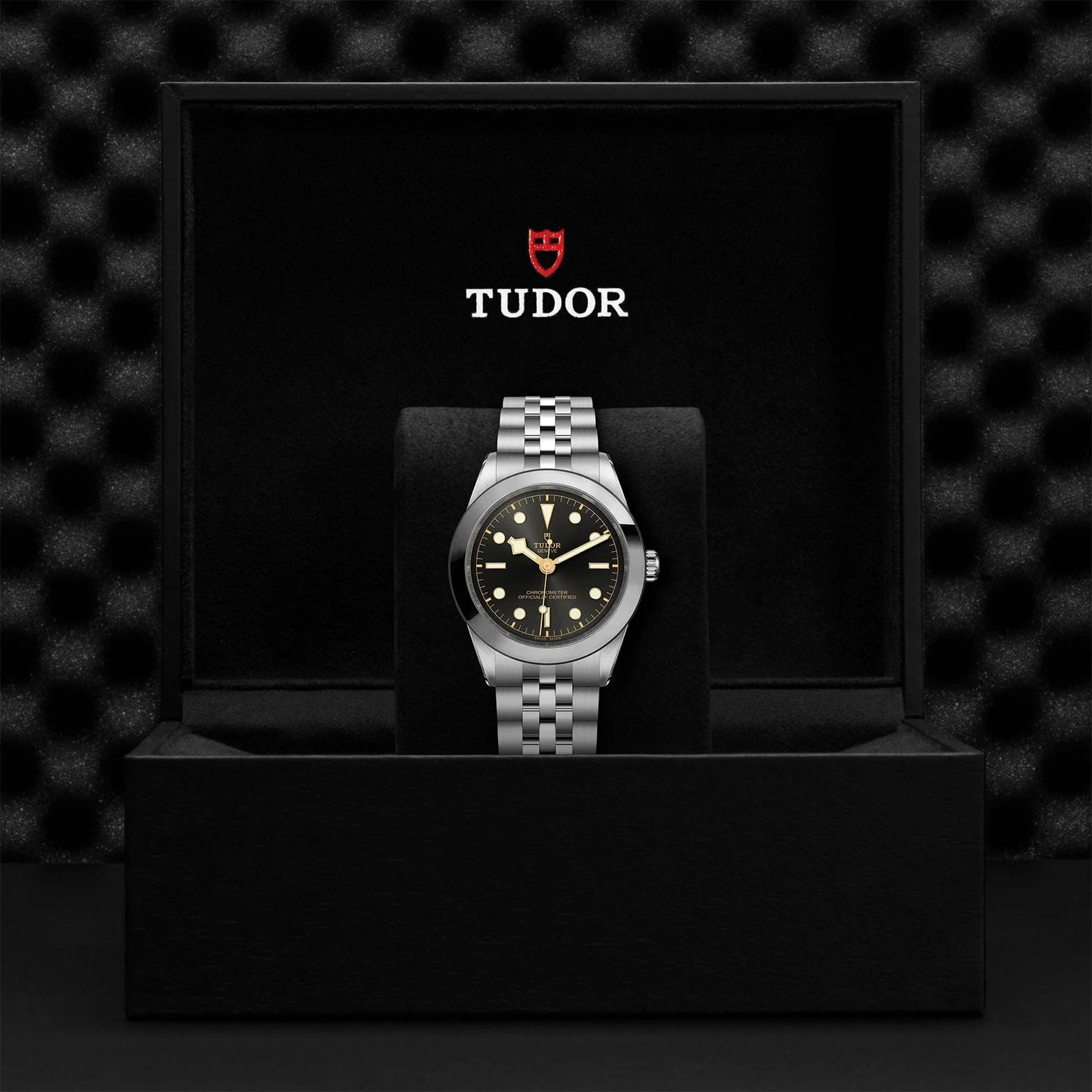 TUDOR Black Bay 39 Steel M79660-0001 - Image 4