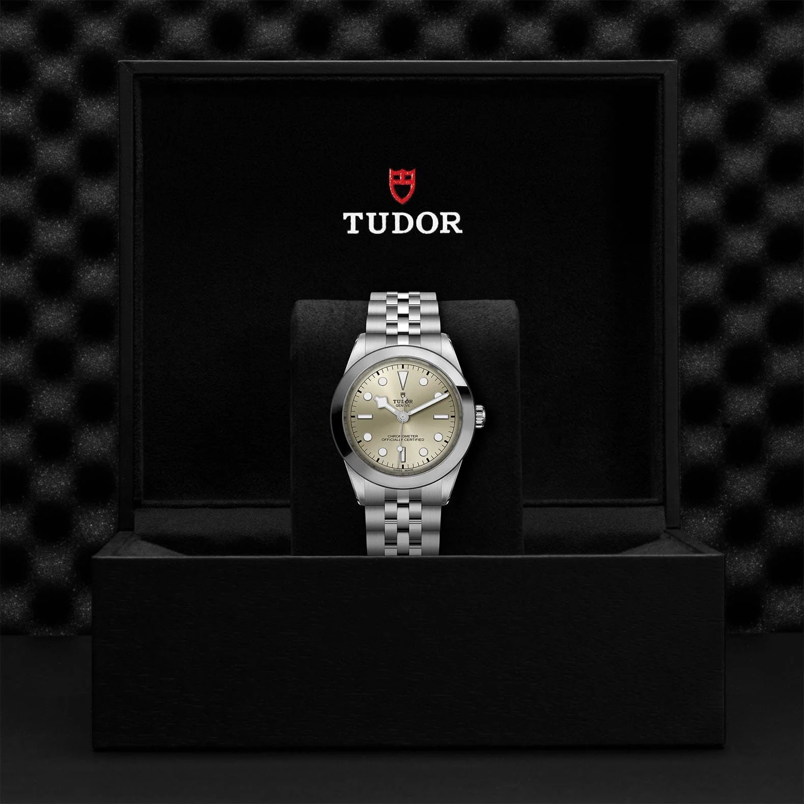 TUDOR Black Bay 39 Steel M79660-0003 - Image 4
