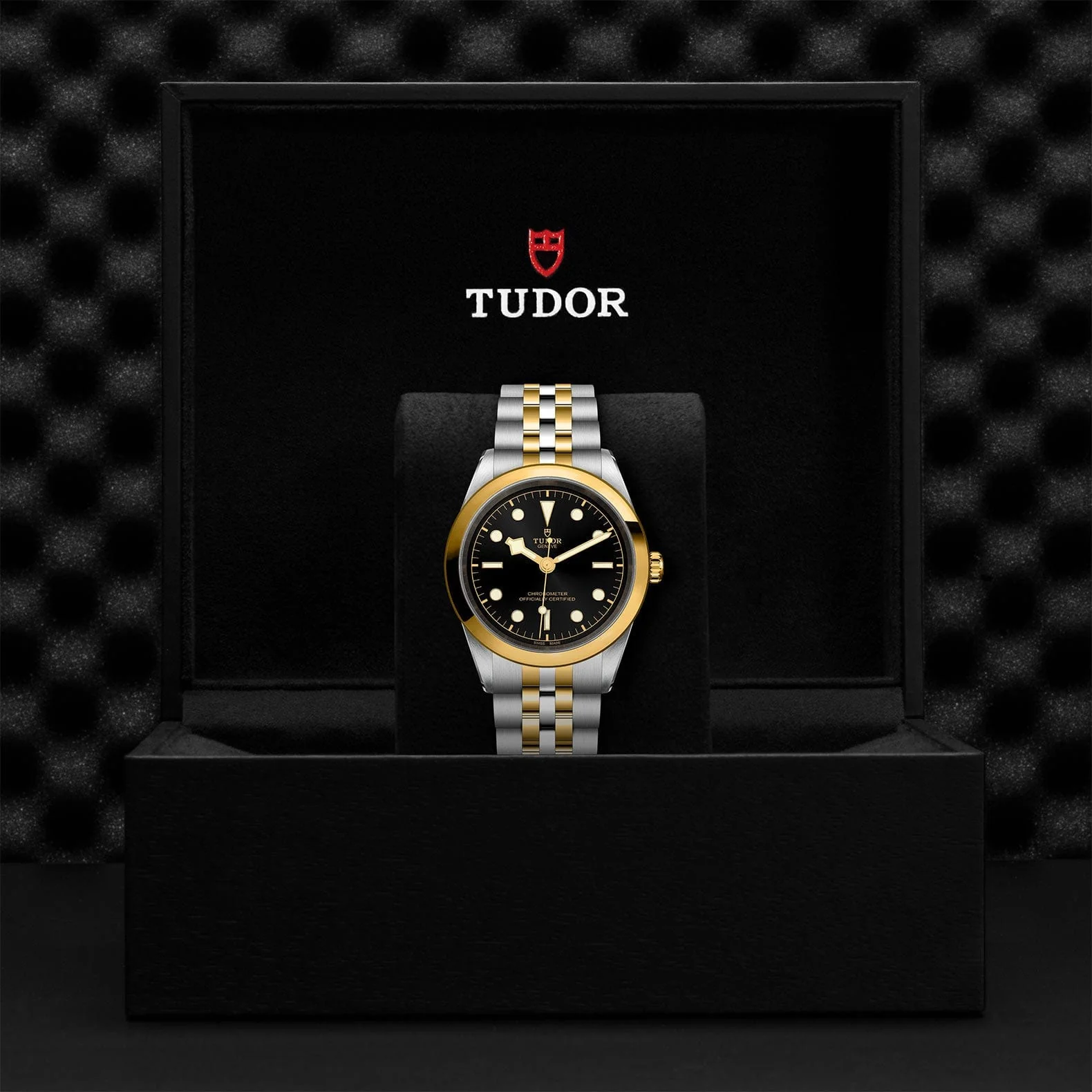 TUDOR Black Bay 41 S&G M79683-0001 - Image 4