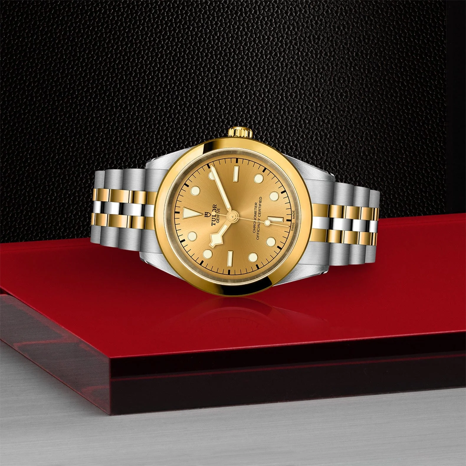 TUDOR Black Bay 41 S&G M79683-0005 - Image 2