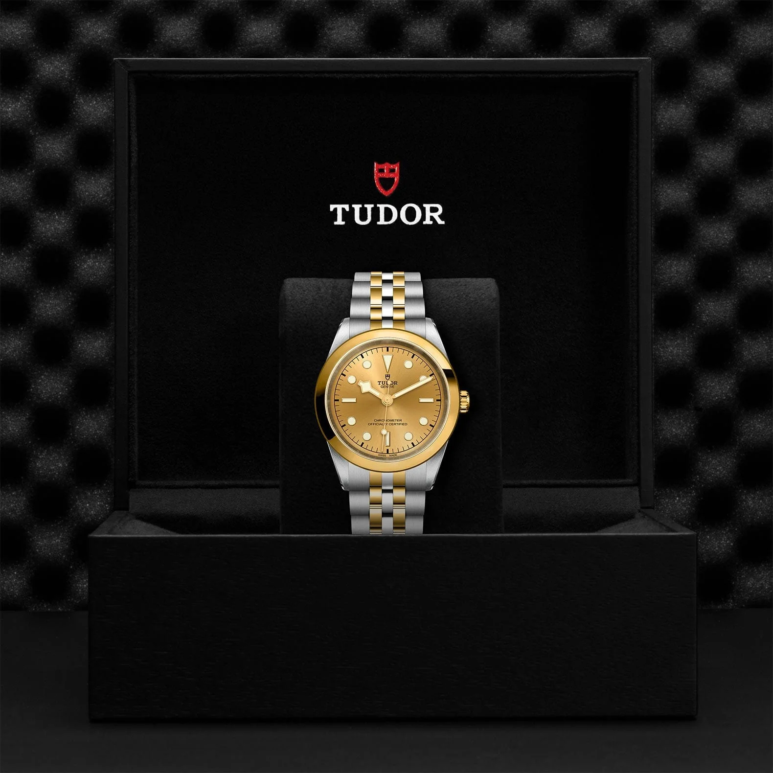 TUDOR Black Bay 41 S&G M79683-0005 - Image 4