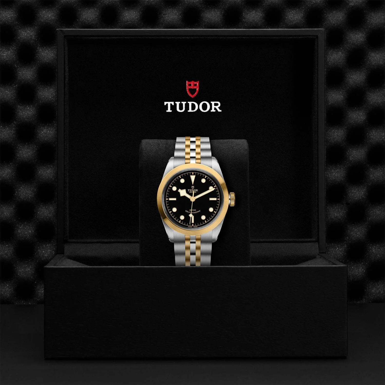 TUDOR Black Bay 41 S&G Steel & Gold M79543-0001 - Image 4