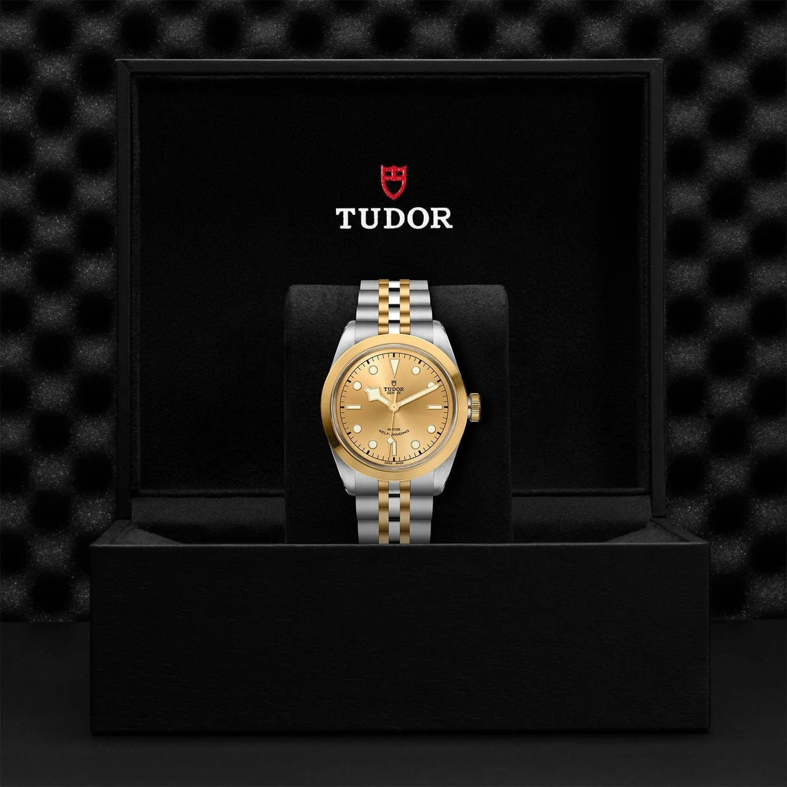 TUDOR Black Bay 41 S&G Steel & Gold M79543-0002 - Image 4