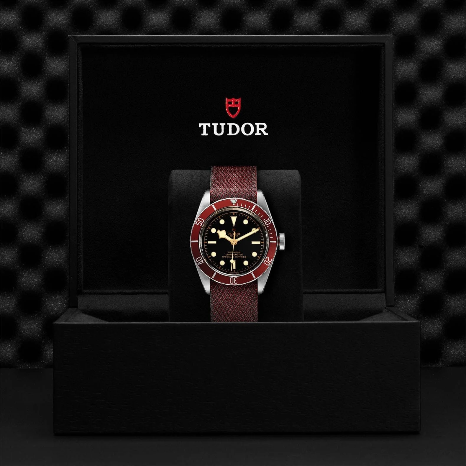 TUDOR Black Bay 41 Steel M79230R-0009 - Image 4
