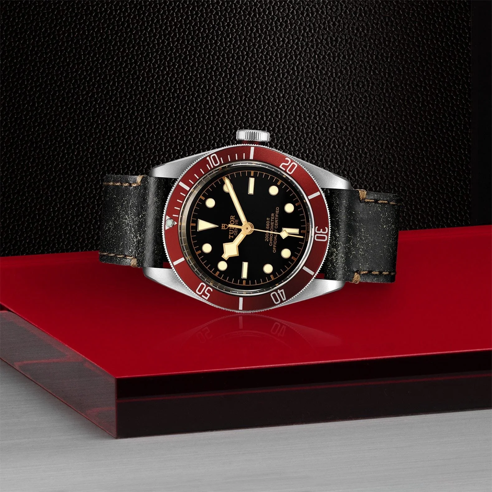 TUDOR Black Bay 41 Steel M79230R-0011 - Image 3