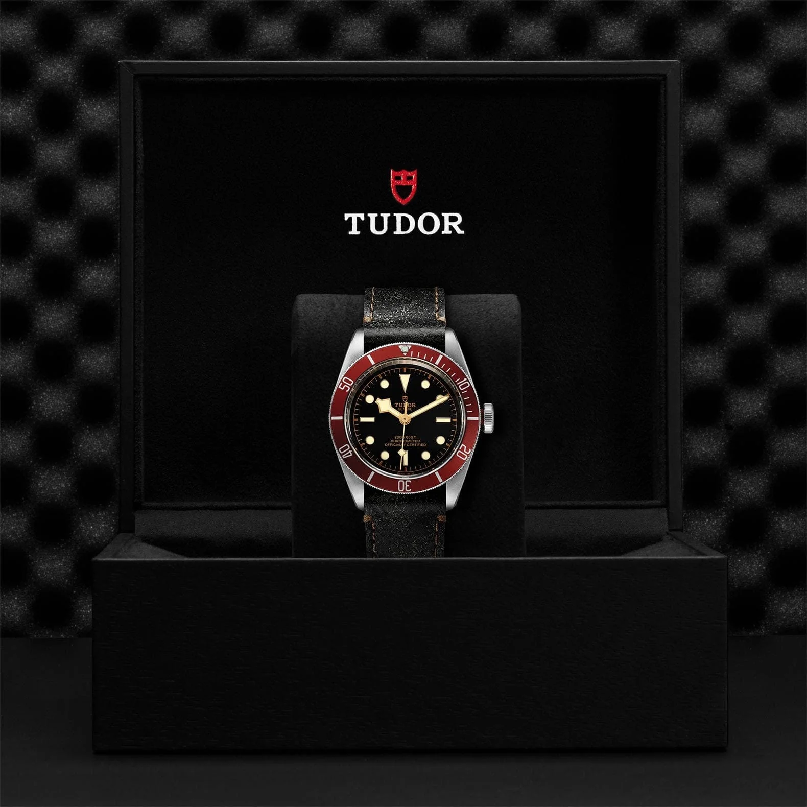 TUDOR Black Bay 41 Steel M79230R-0011 - Image 4
