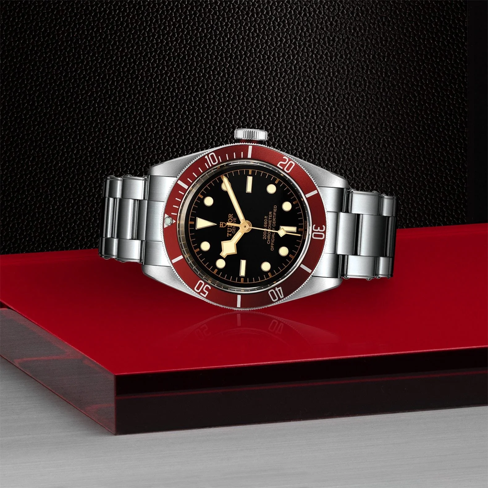 TUDOR Black Bay 41 Steel M79230R-0012 - Image 3