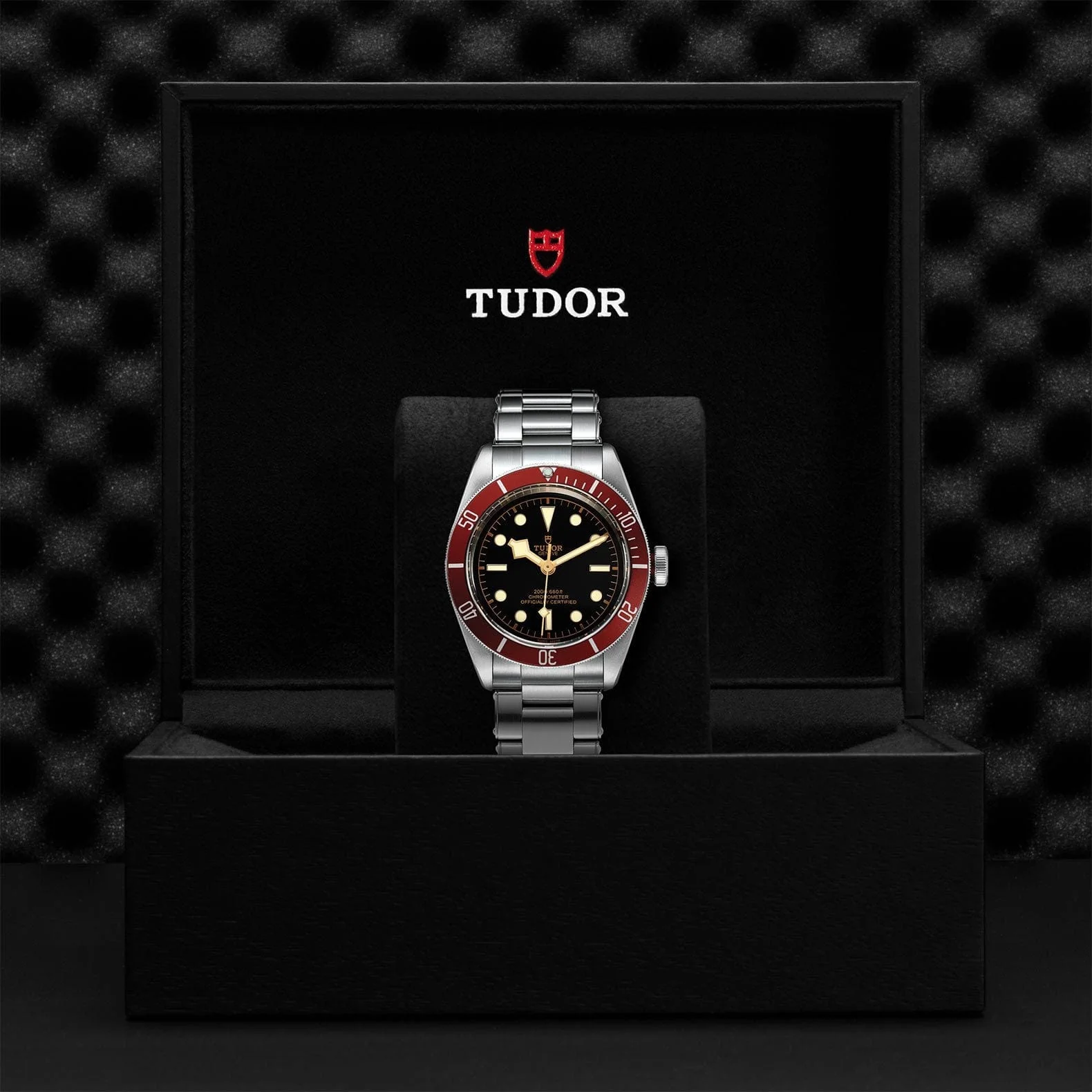 TUDOR Black Bay 41 Steel M79230R-0012 - Image 4