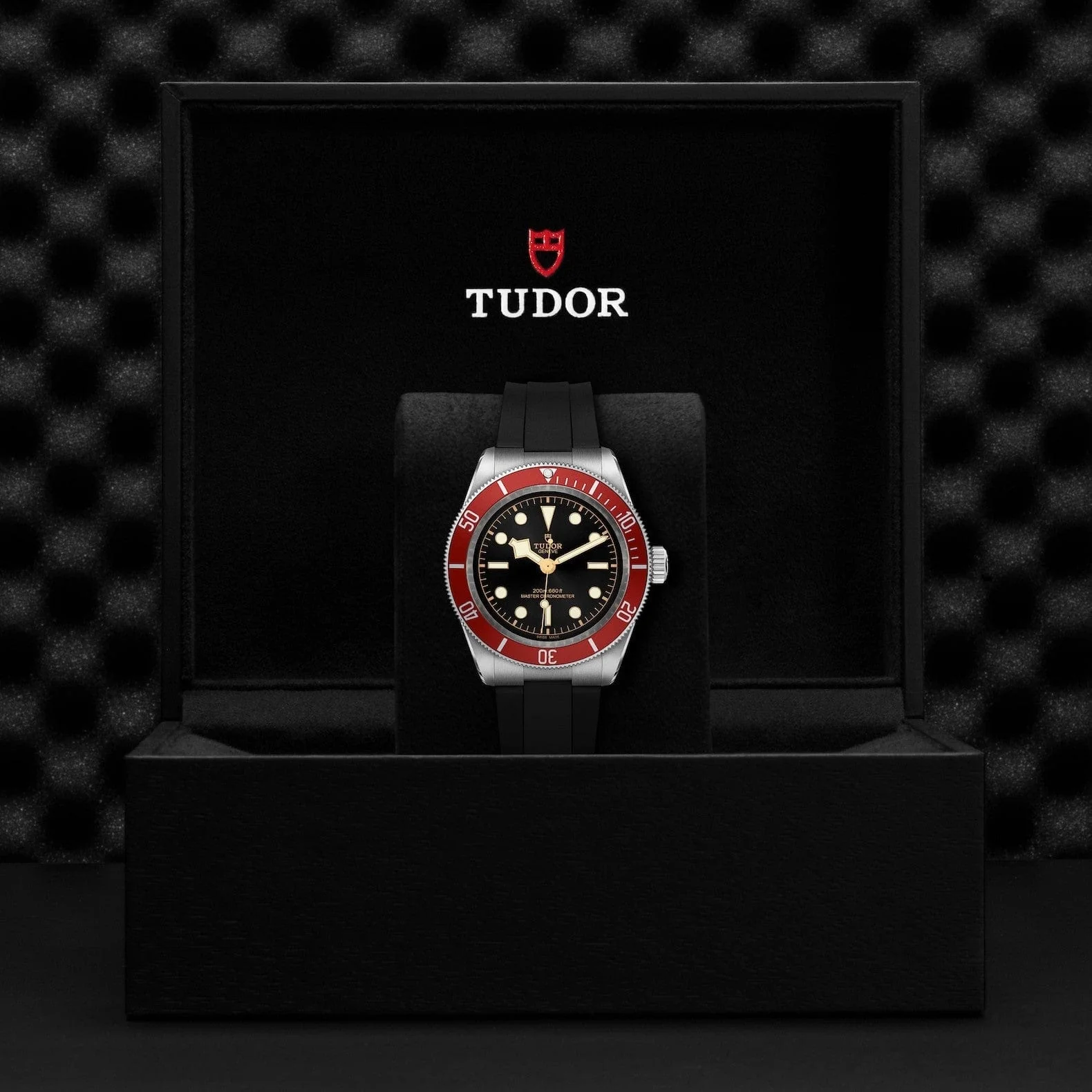 TUDOR Black Bay 41 Steel M7941A1A0RU-0002 - Image 4