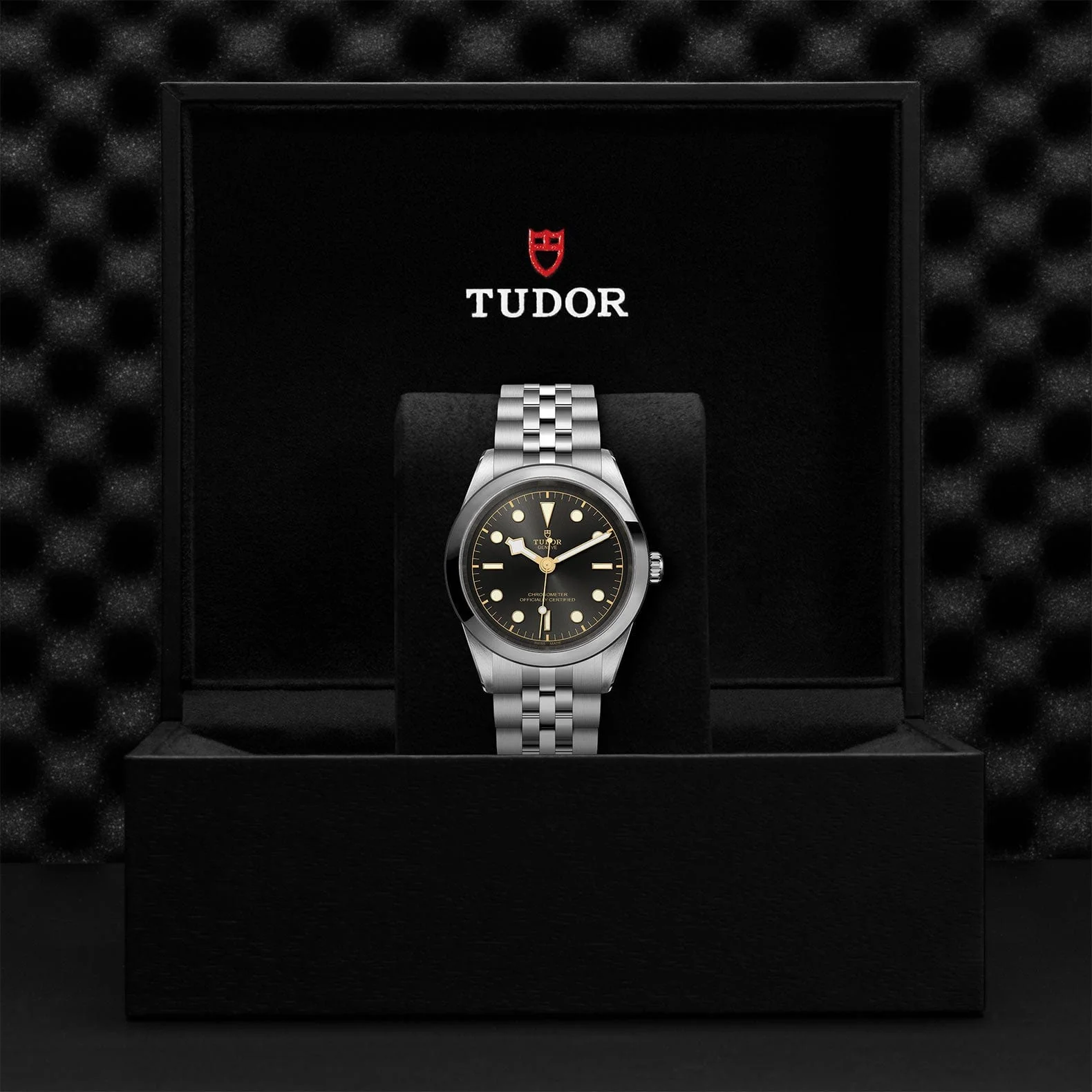 TUDOR Black Bay 41 Steel M79680-0001 - Image 4