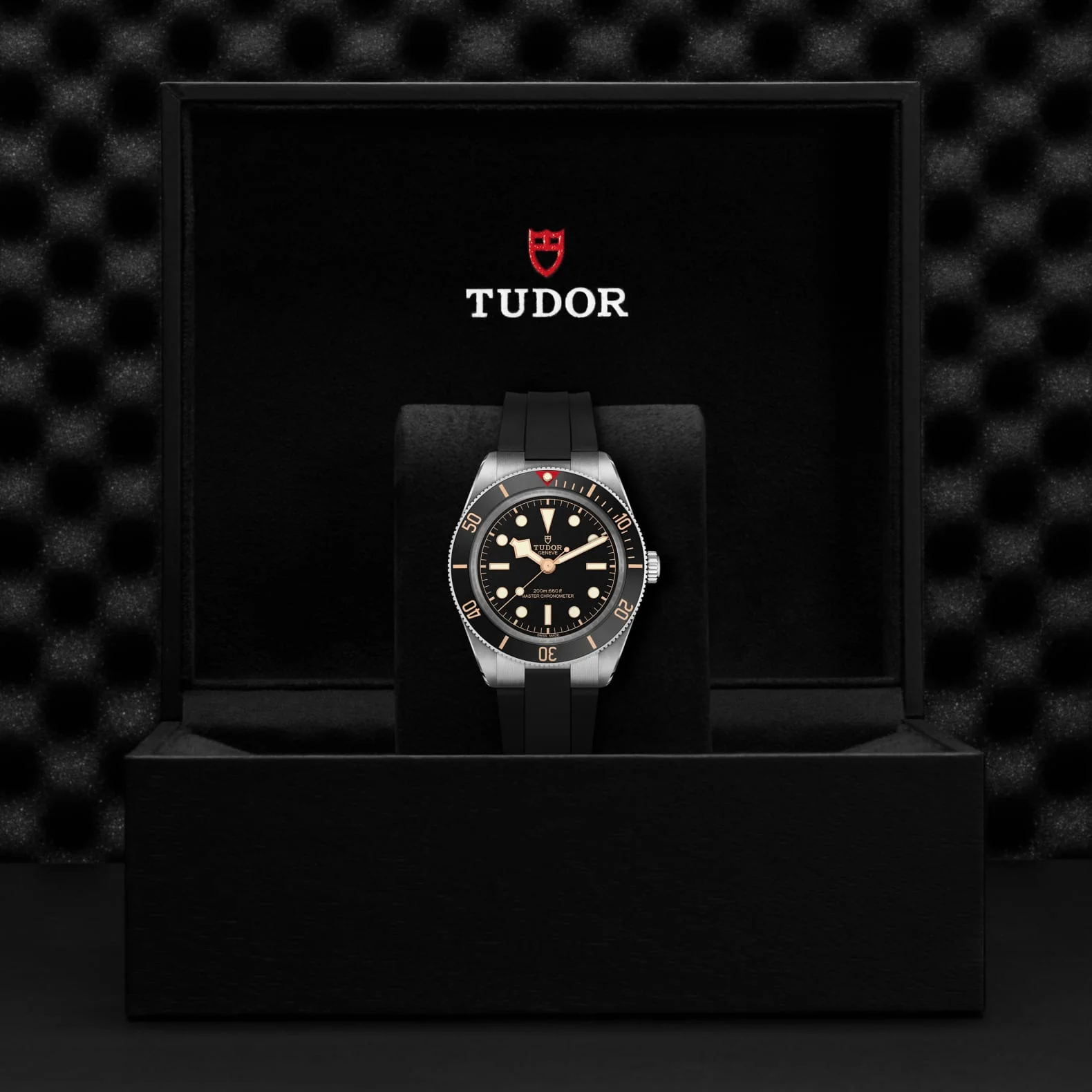 TUDOR Black Bay 58 M7939A1A0NU-0003 - Image 4