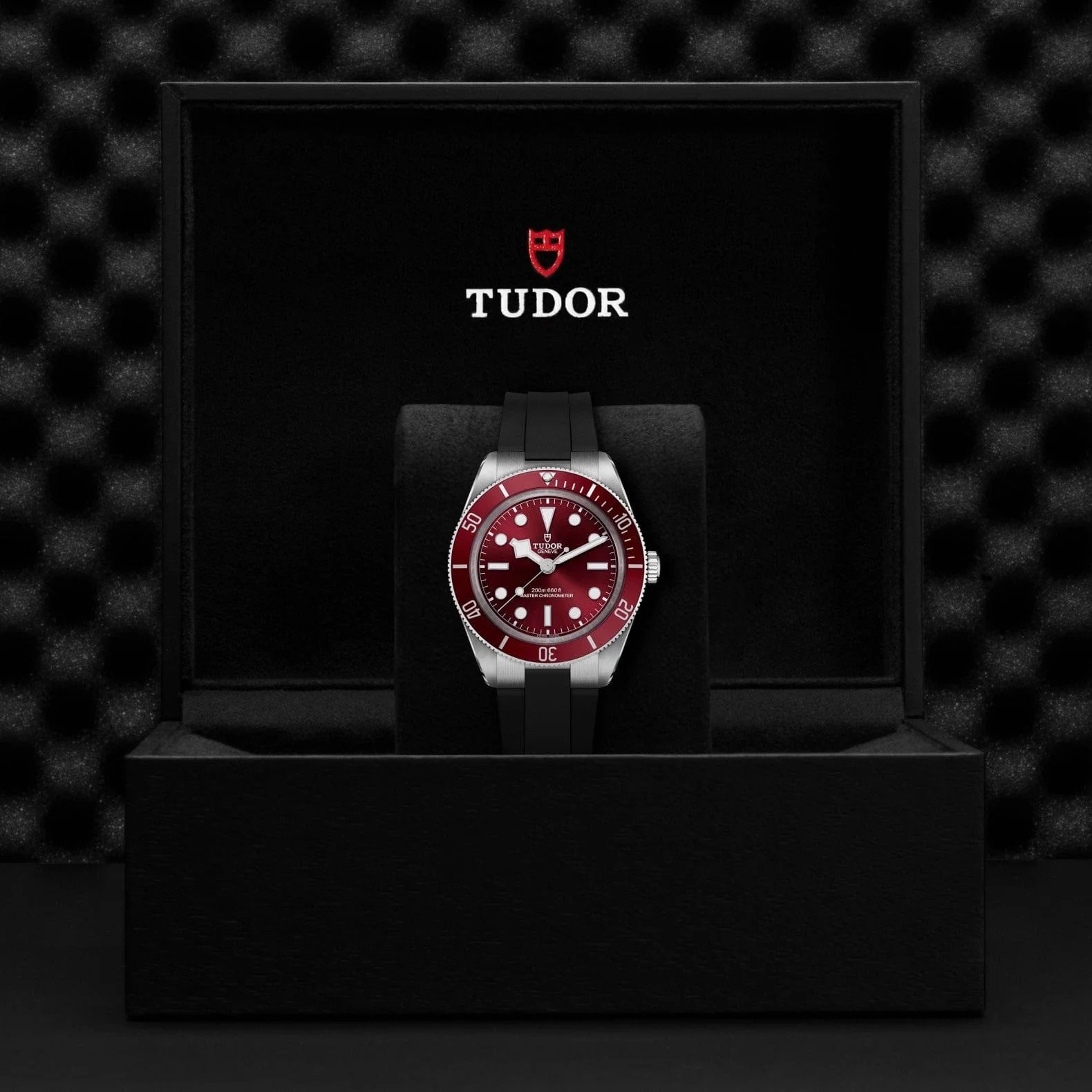 TUDOR Black Bay 58 M7939A1A0RU-0003 - Image 4