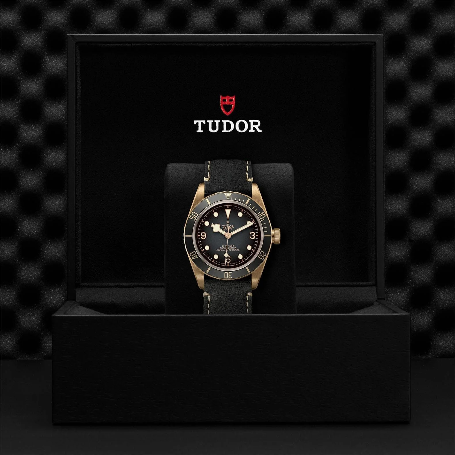 TUDOR Black Bay Bronze 43 Bronze M79250BA-0001 - Image 4