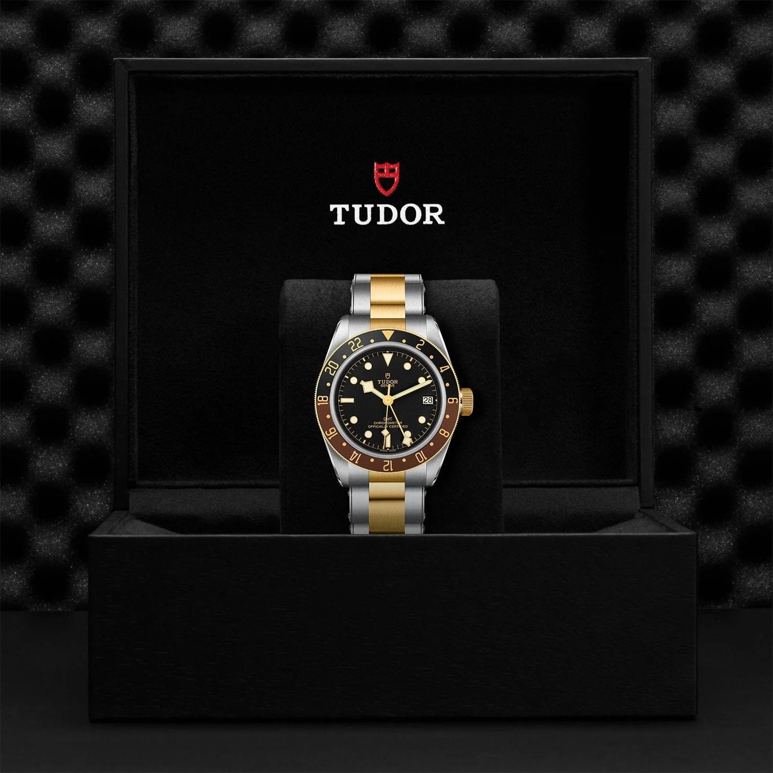 TUDOR Black Bay GMT S&G M79833MN-0001 - Image 4