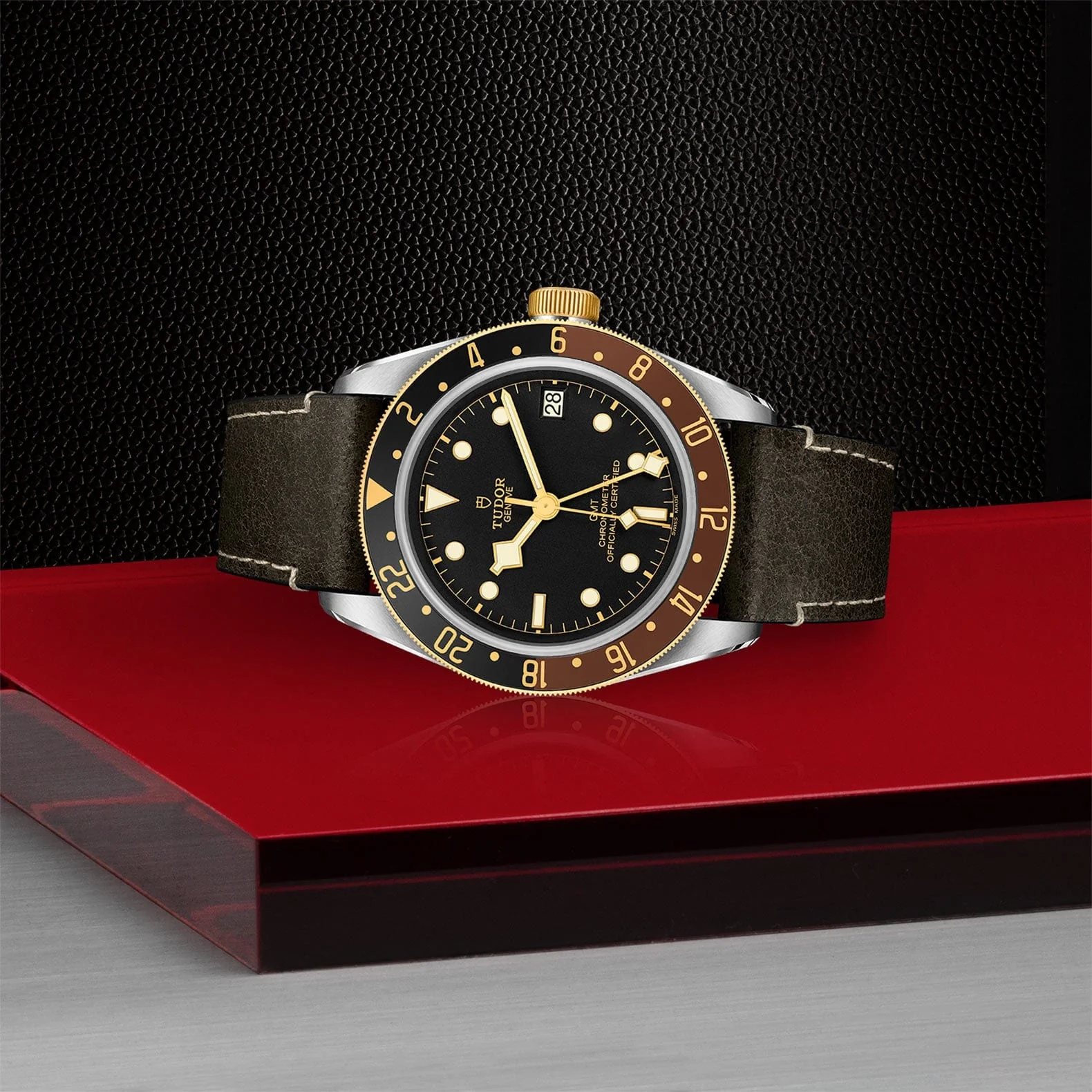 TUDOR Black Bay GMT S&G M79833MN-0003 - Image 3