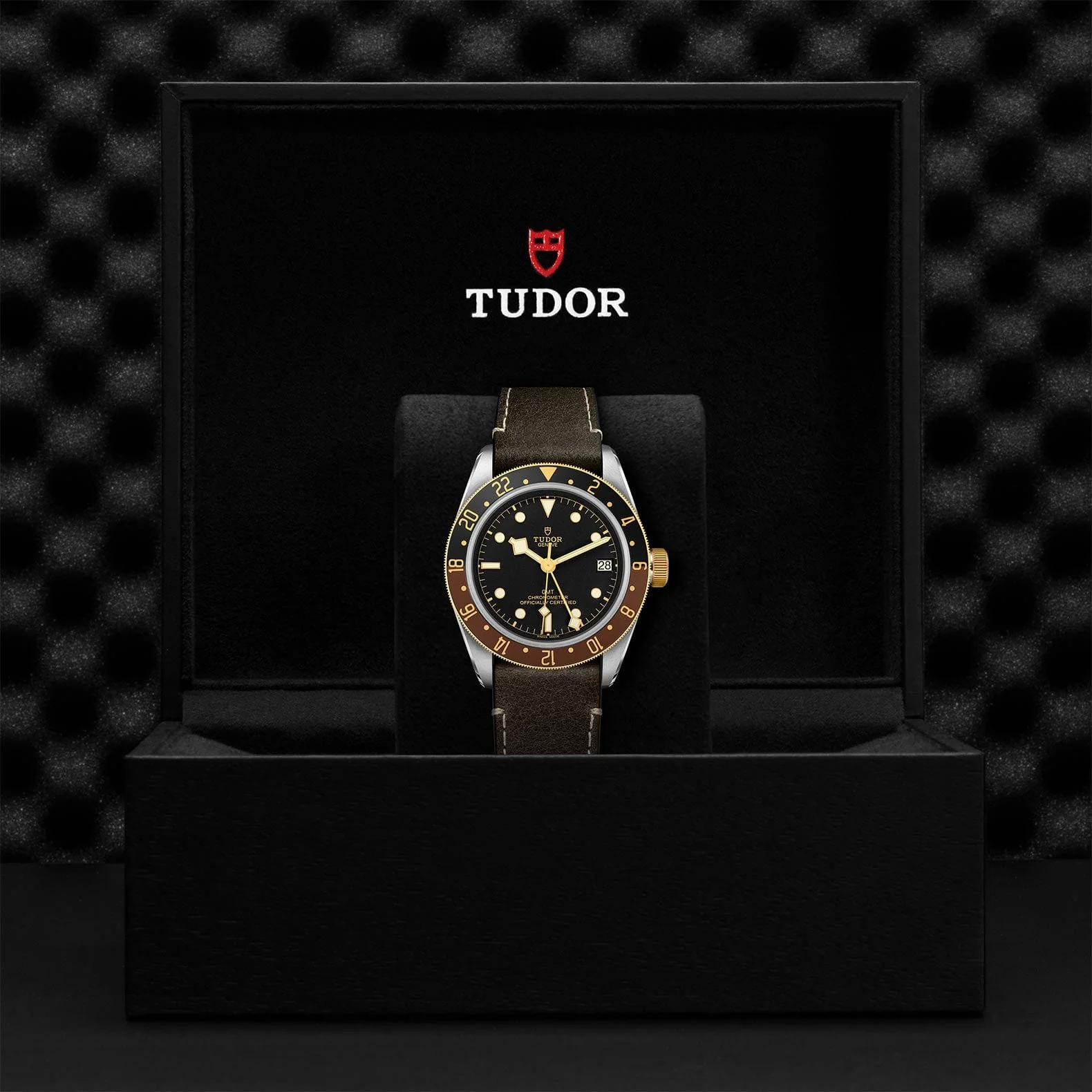 TUDOR Black Bay GMT S&G M79833MN-0003 - Image 4