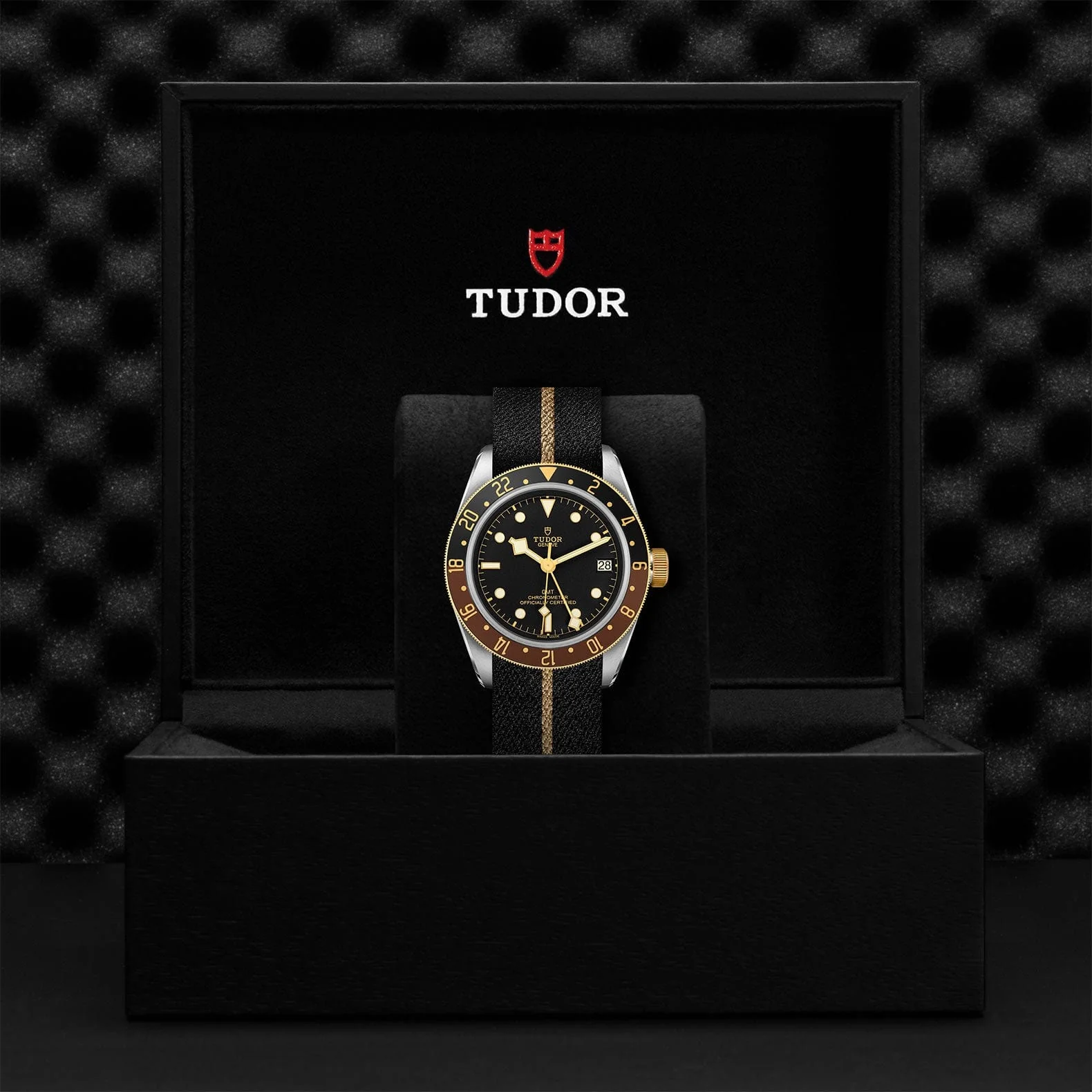 TUDOR Black Bay GMT S&G M79833MN-0004 - Image 4