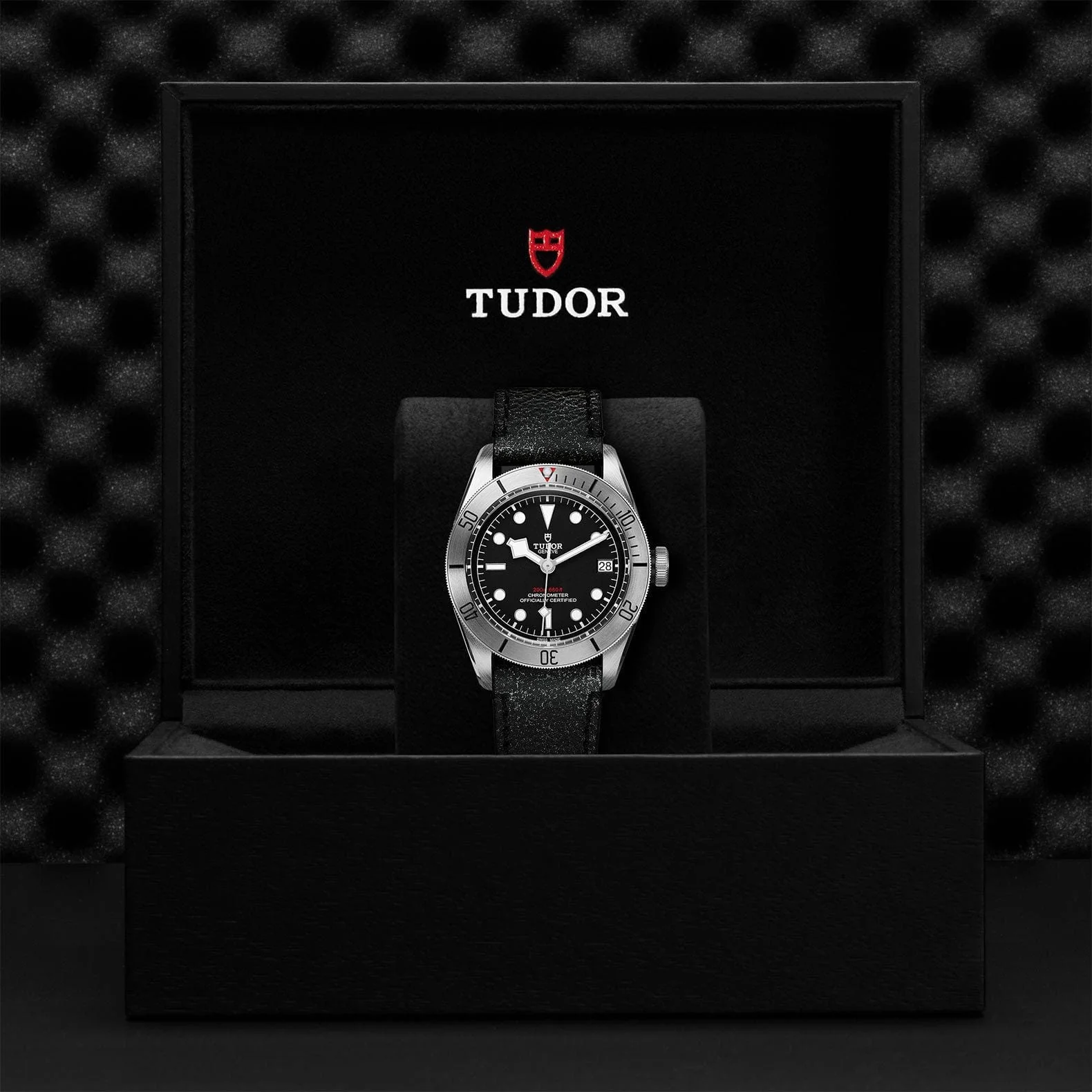 TUDOR Black Bay Steel 41 Steel M79730-0005 - Image 4